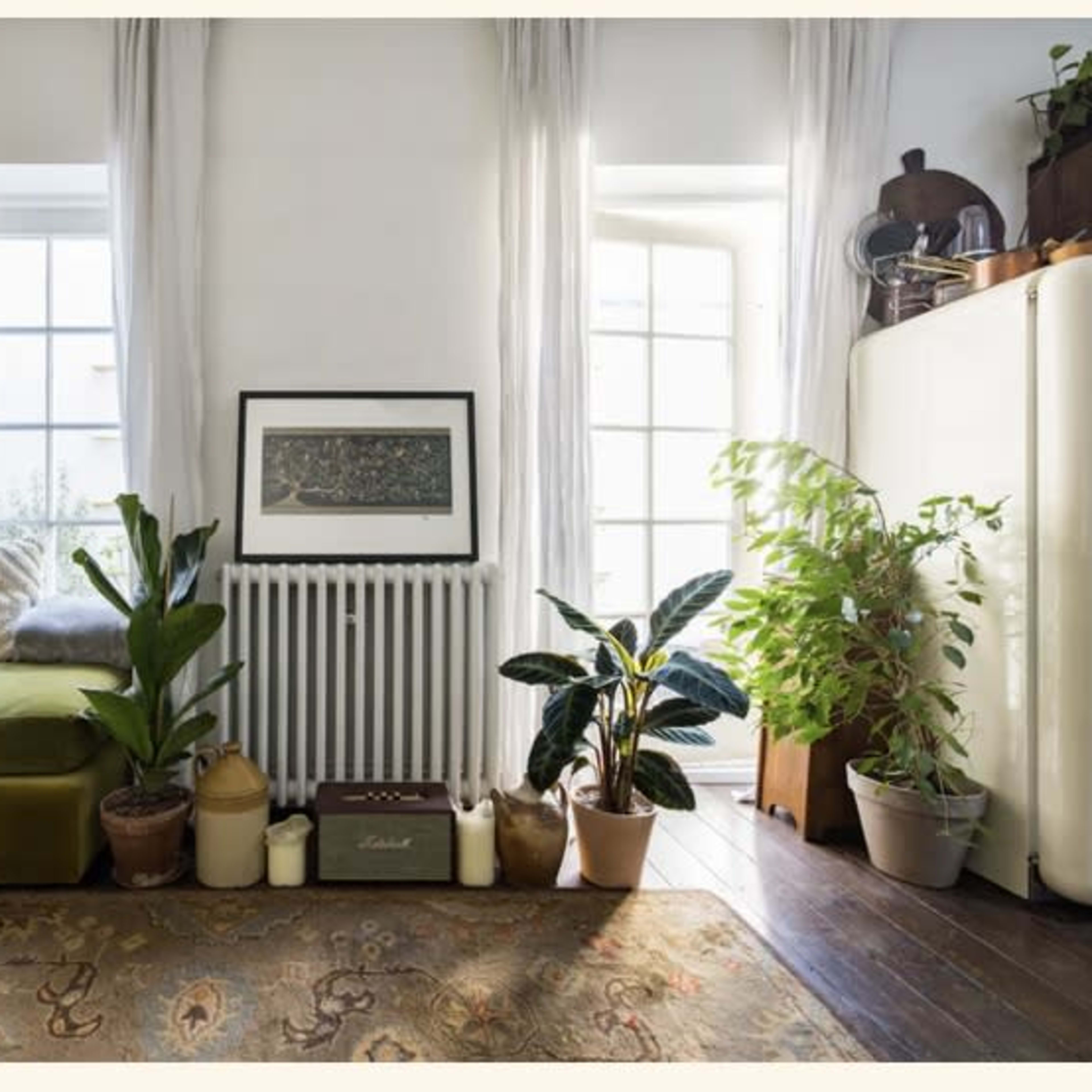 A cozy living space features a green armchair, a radiator, two plants in pots, and a framed artwork near large windows.