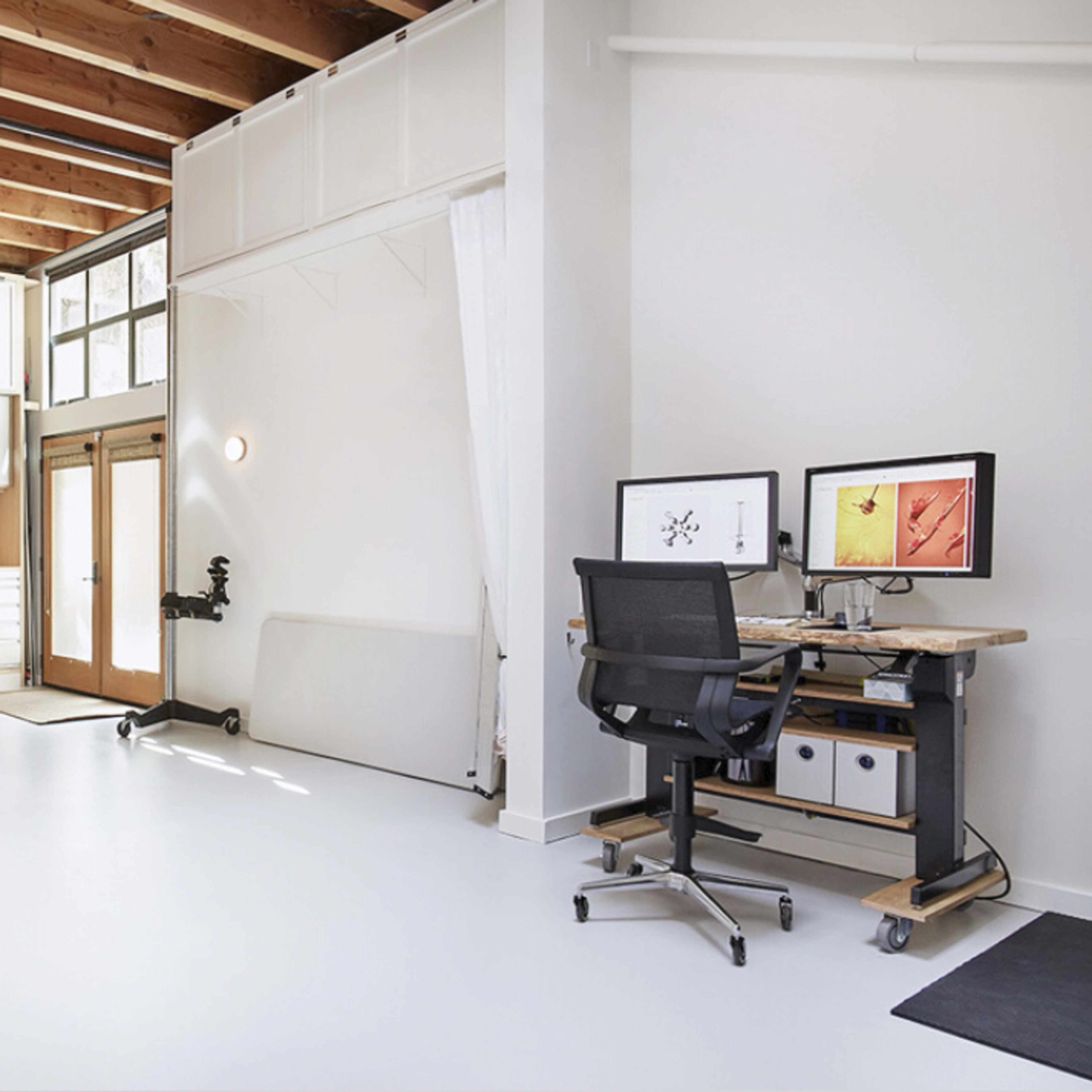 A spacious, modern workspace with a dog sitting on a white floor, surrounded by large windows and wooden beams overhead.