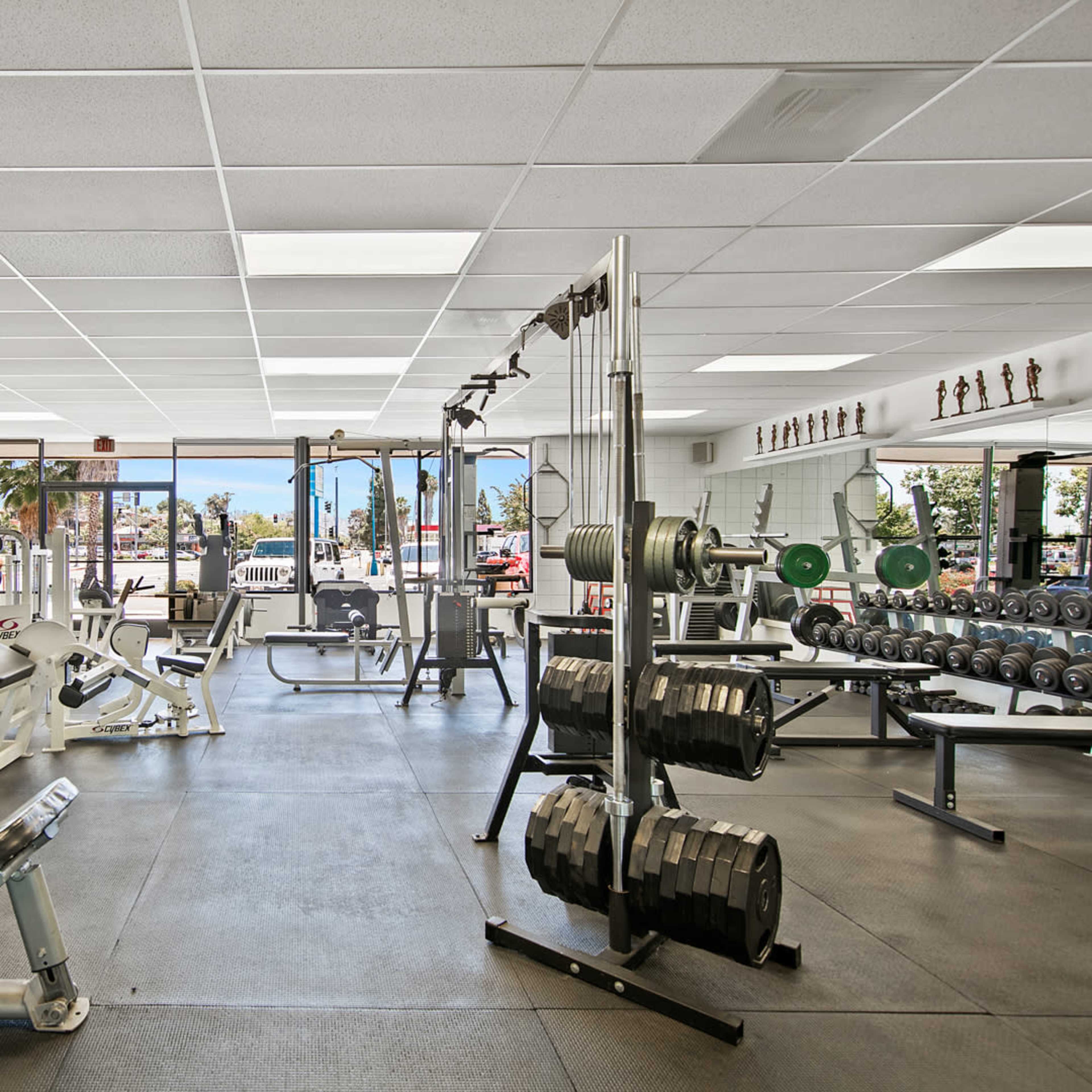 A gym interior with various exercise equipment, including weight machines and free weights, and large windows letting in natural light.