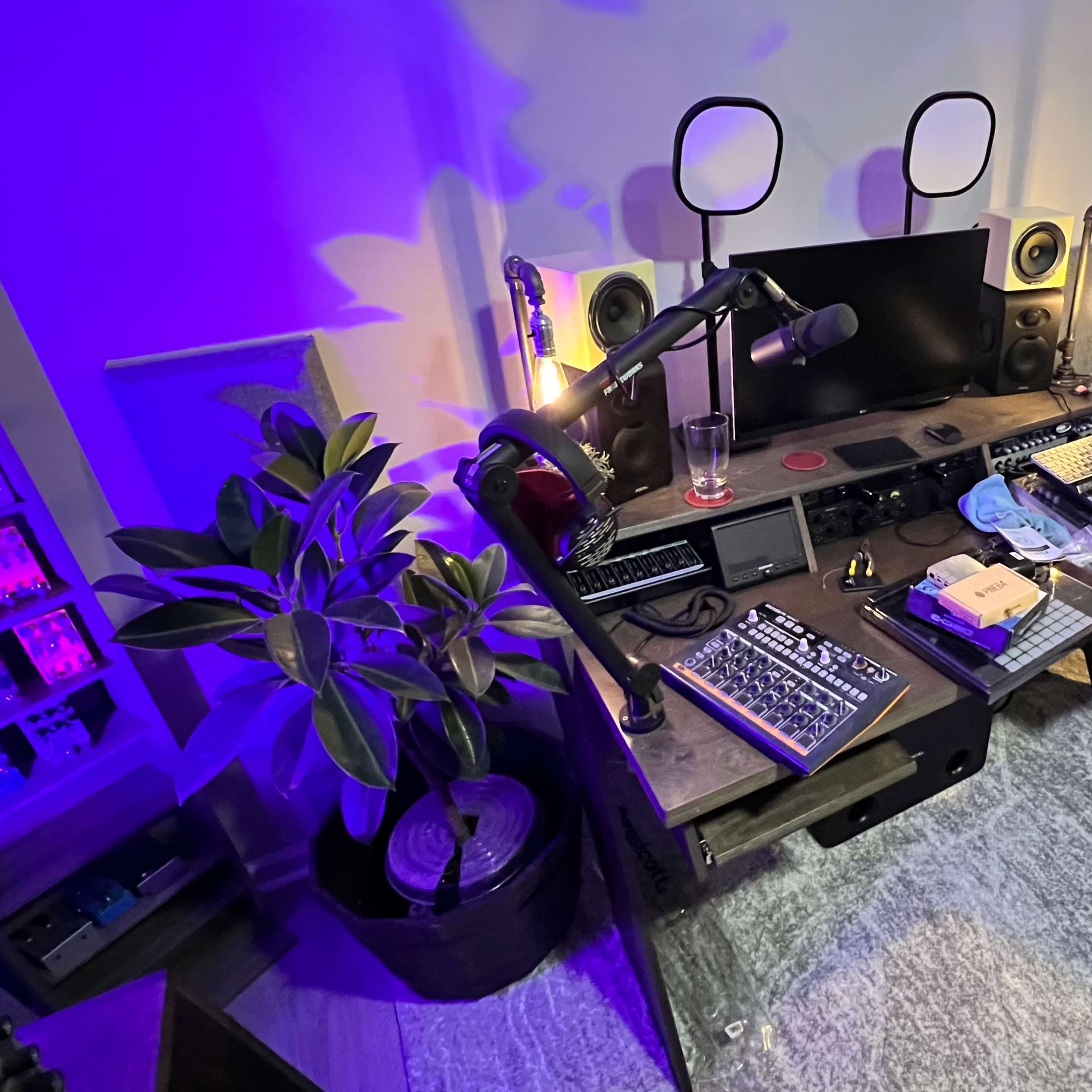 A music production studio setup featuring a computer monitor, audio equipment, a microphone, and plants, illuminated with purple lighting.
