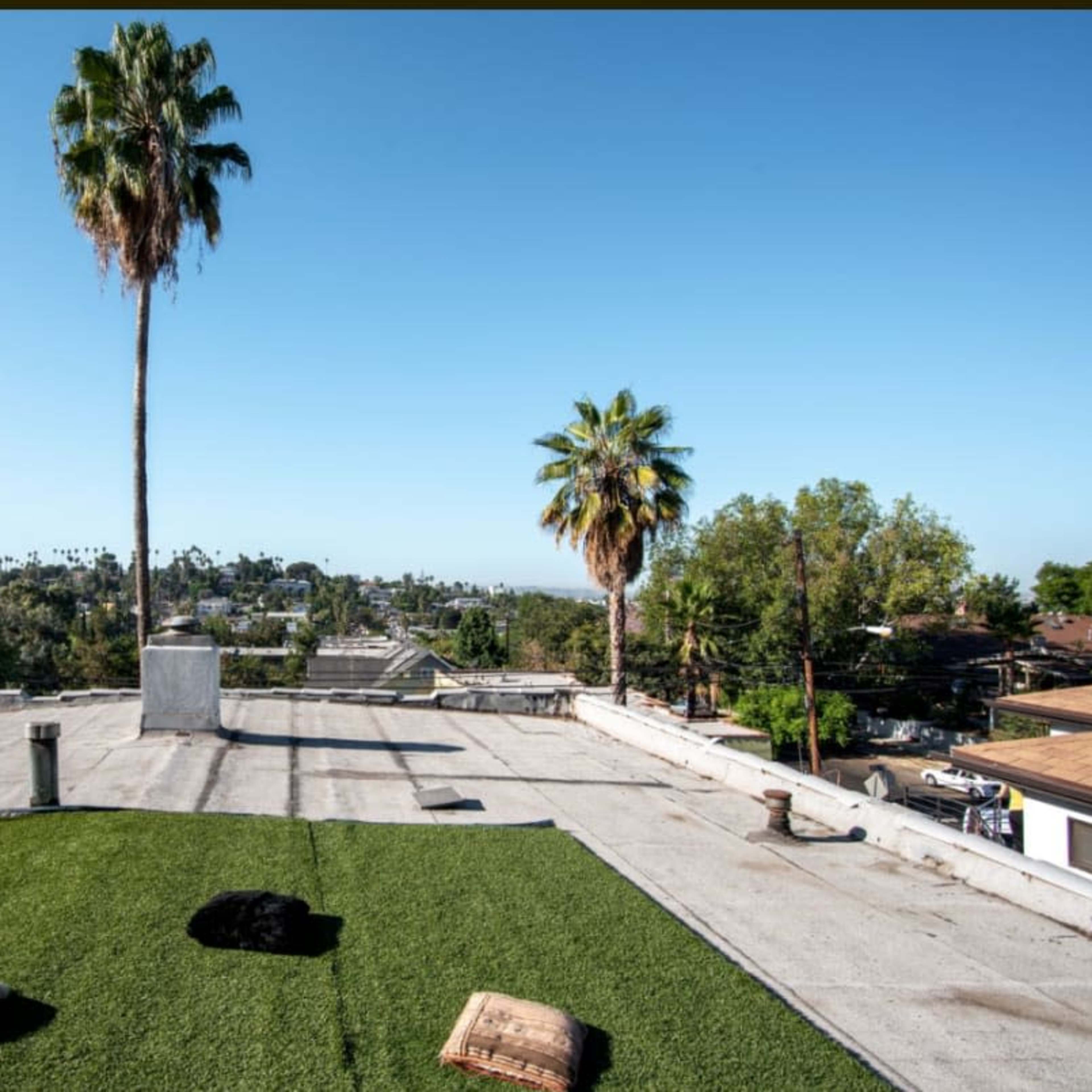 The scene shows a rooftop with artificial grass, two palm trees, and a view of a neighborhood below.
