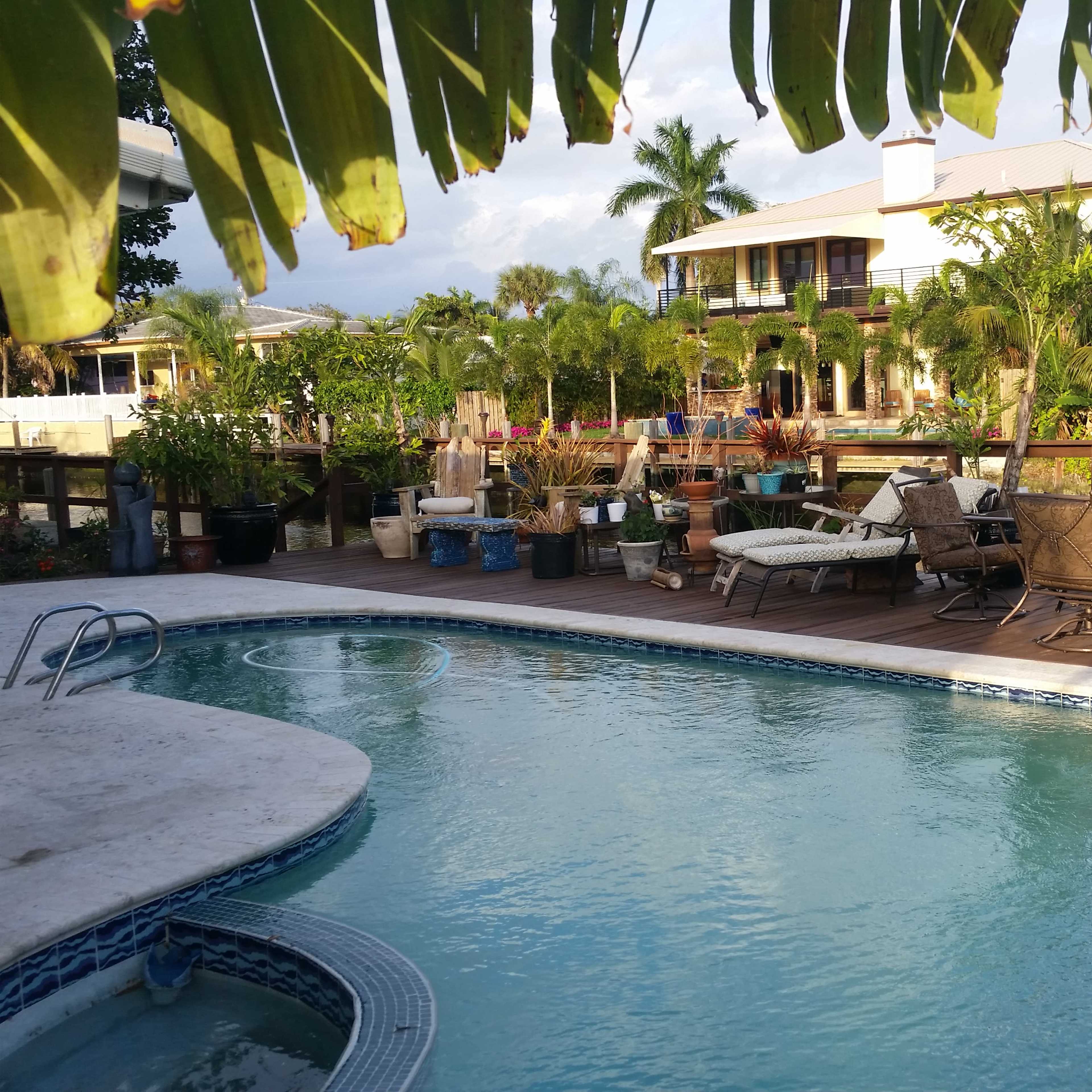 A swimming pool surrounded by several lounge chairs and tropical plants in a residential backyard setting.