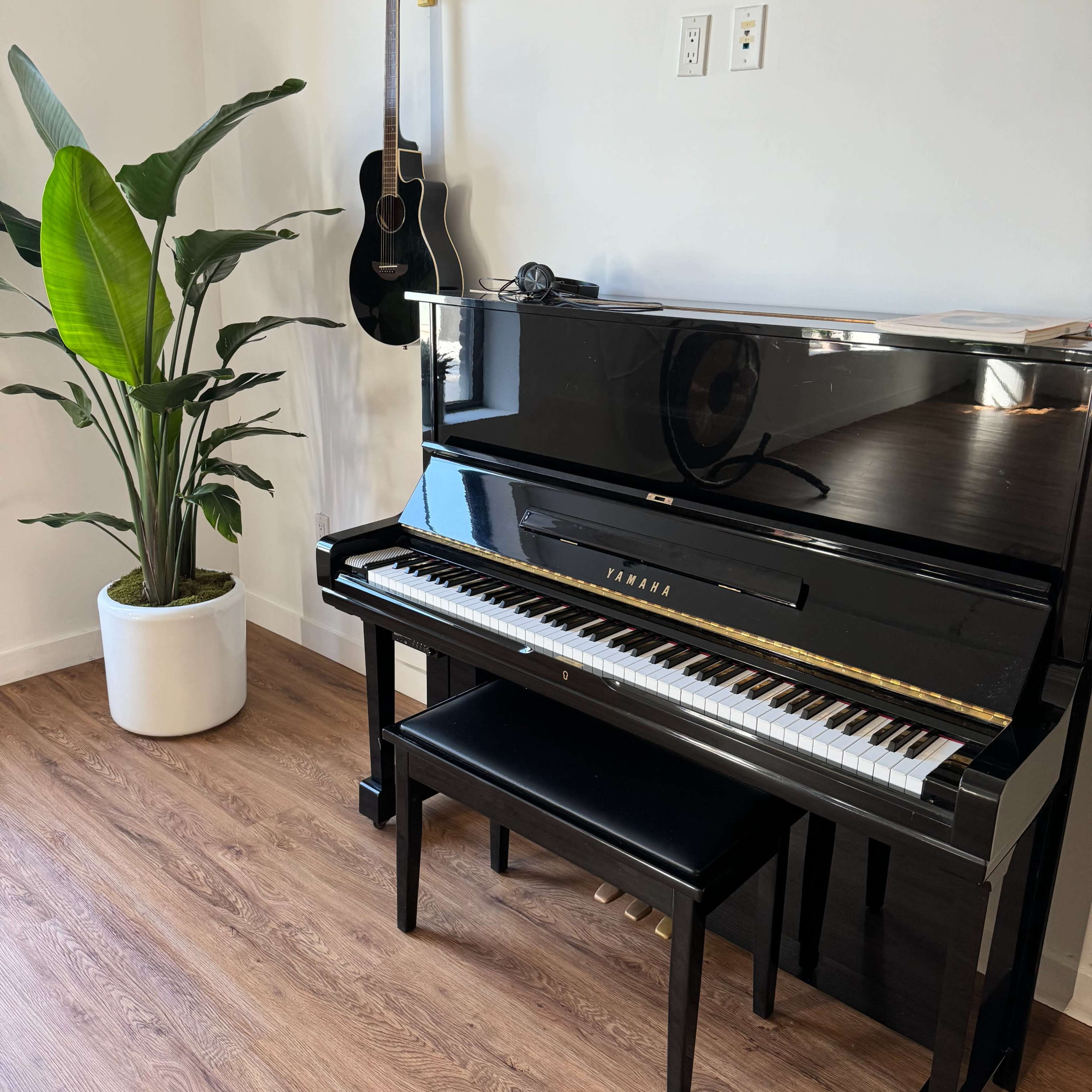 A black piano with a matching bench is positioned next to a tall plant in a white pot and a guitar hanging on the wall.