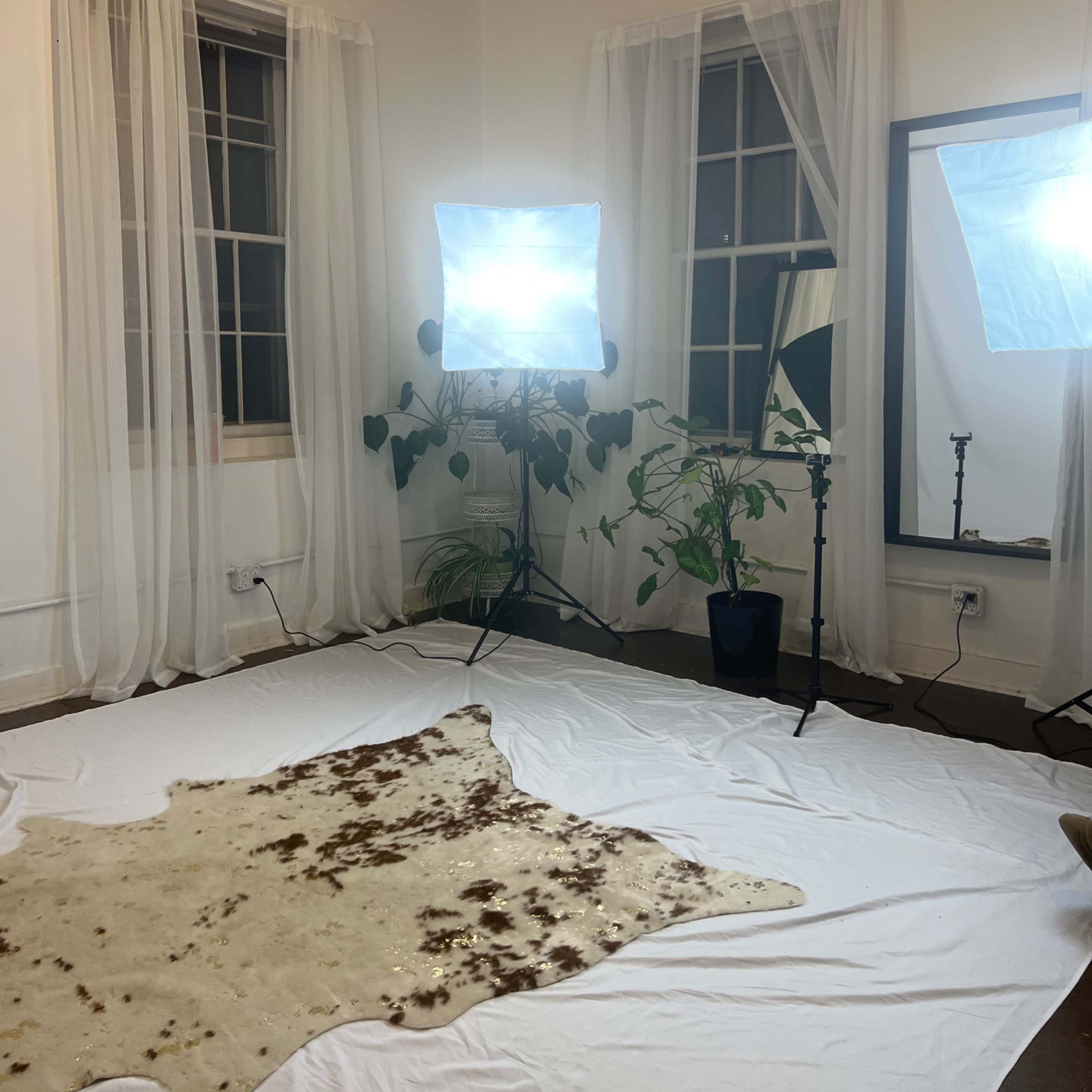 A minimalist room with sheer curtains, a large mirror, and two softbox lights illuminating a white backdrop and a cowhide rug on the floor.