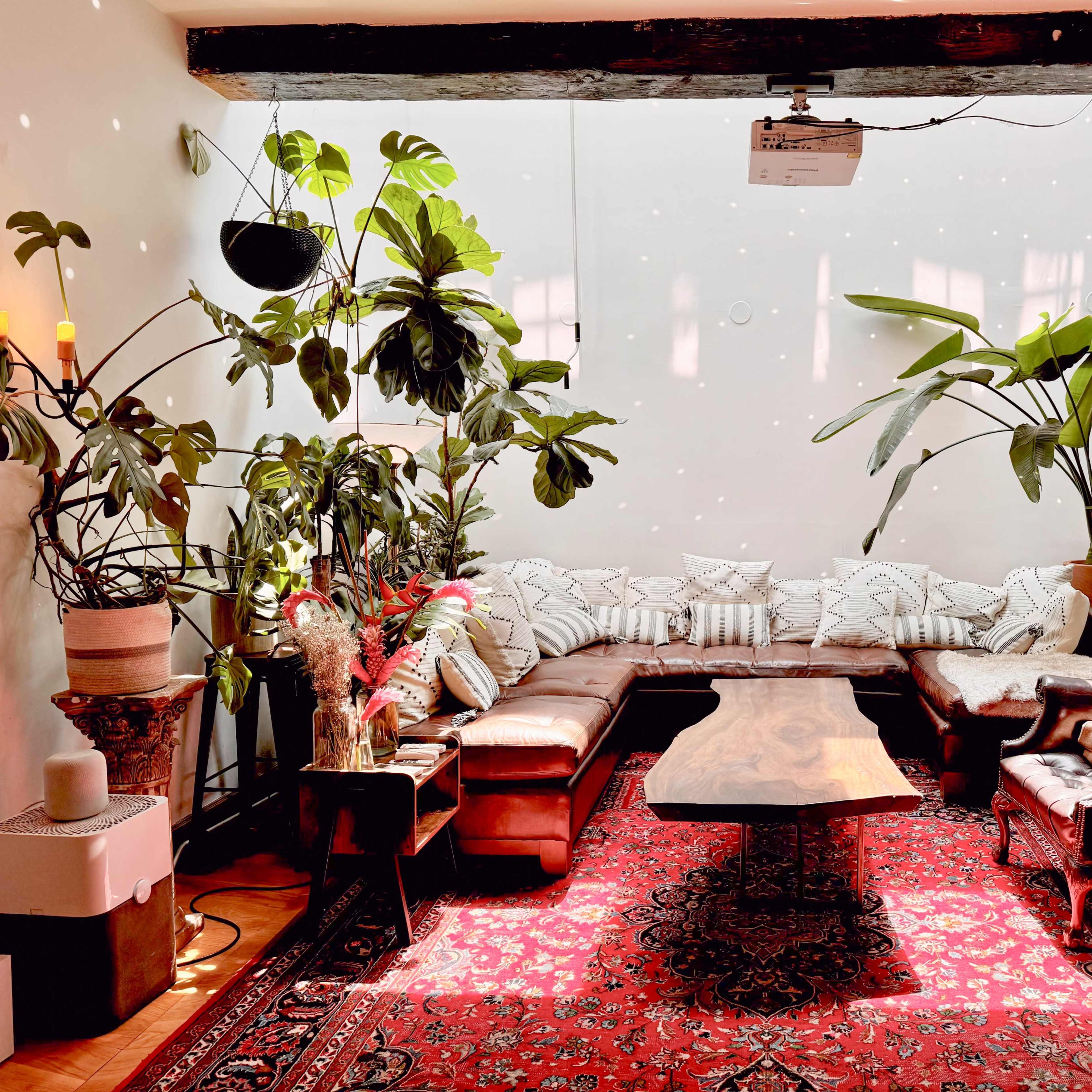 A cozy living room featuring a large sectional sofa, a wooden coffee table, and numerous indoor plants, all set against a backdrop of a patterned rug and wall-mounted projector.