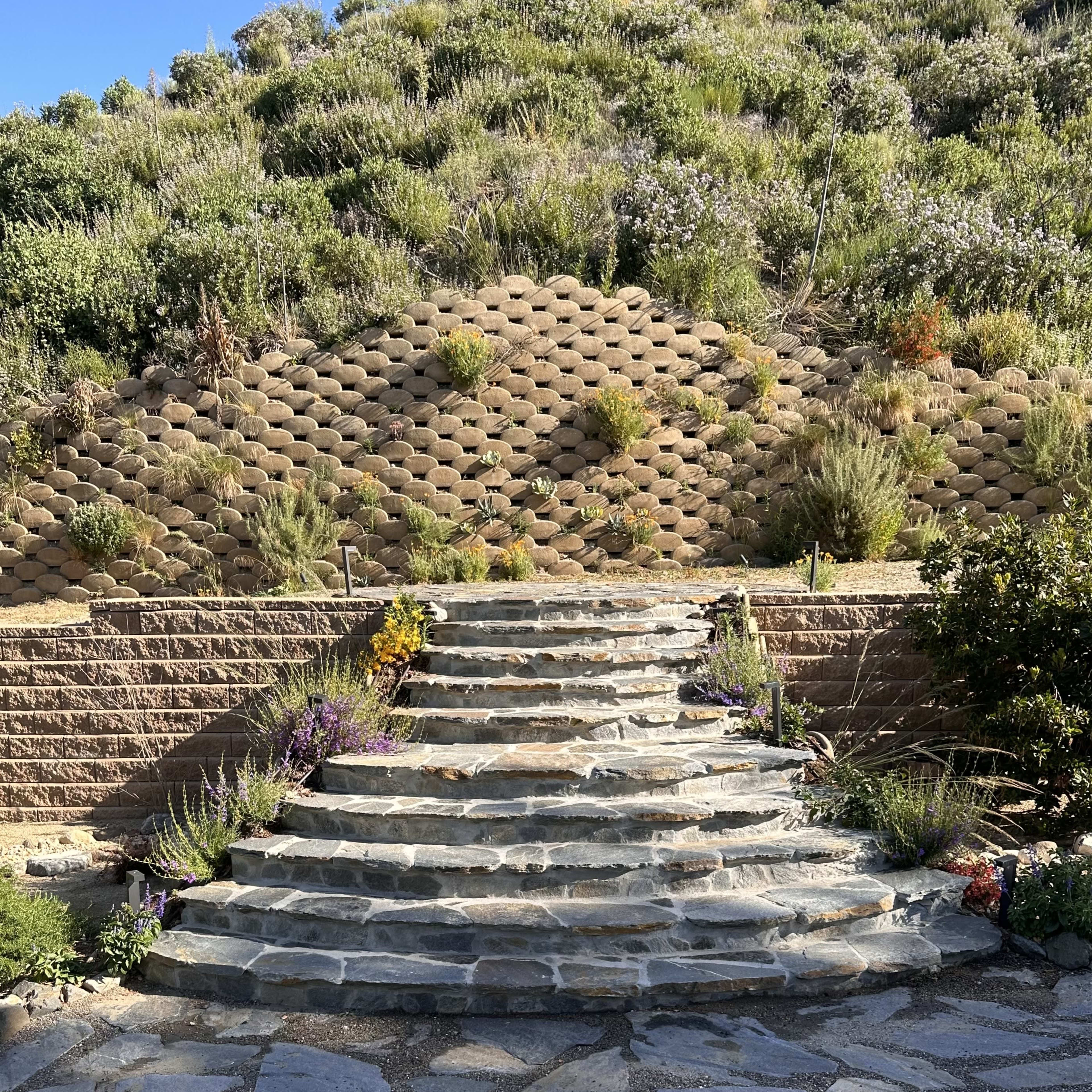 A stone staircase leads upward toward a terraced hillside filled with greenery and small plants.