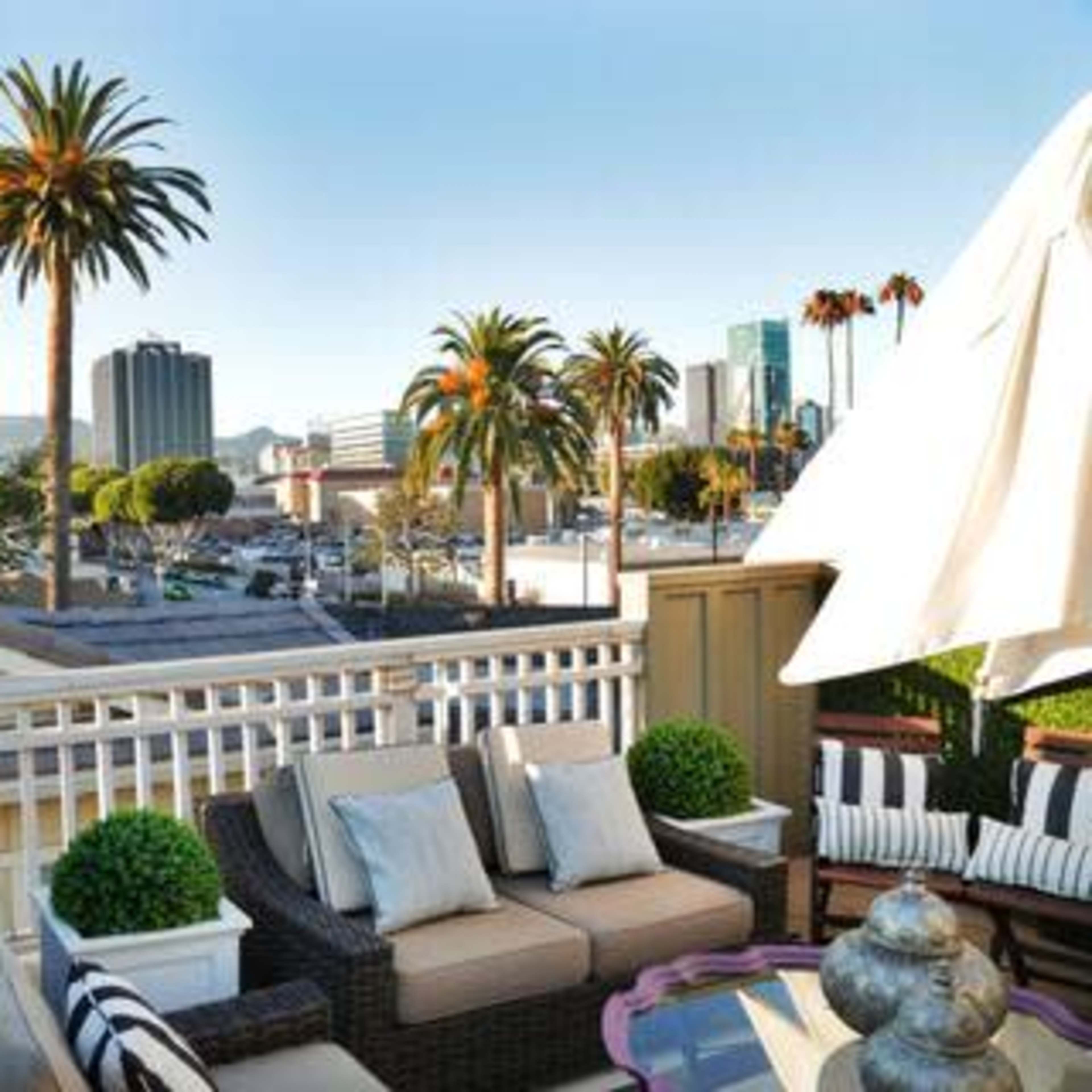 A rooftop terrace features comfortable seating surrounded by palm trees and a view of city buildings in the background.