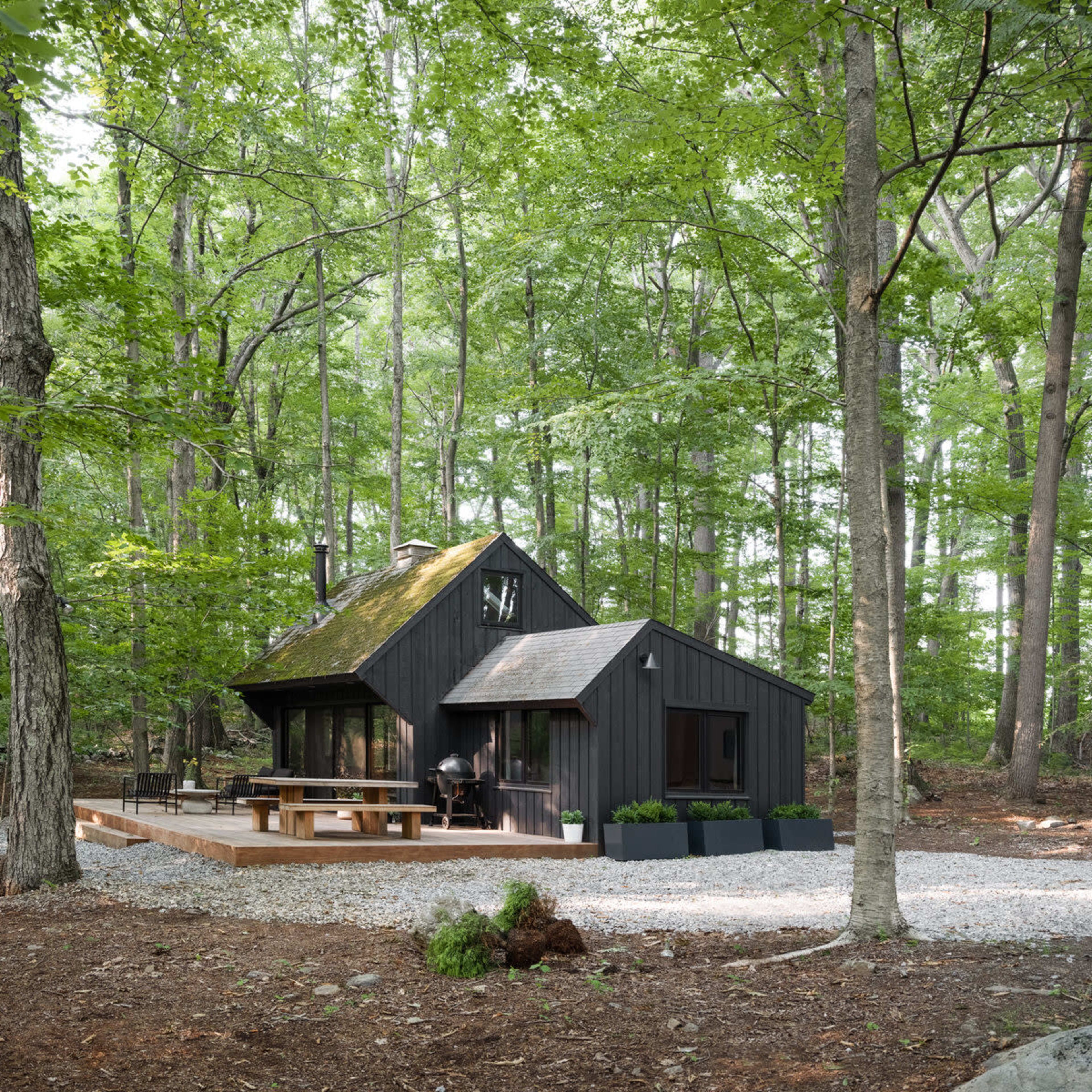 A black wooden cabin with a sloped roof sits on a gravel patio surrounded by trees in a forested area.