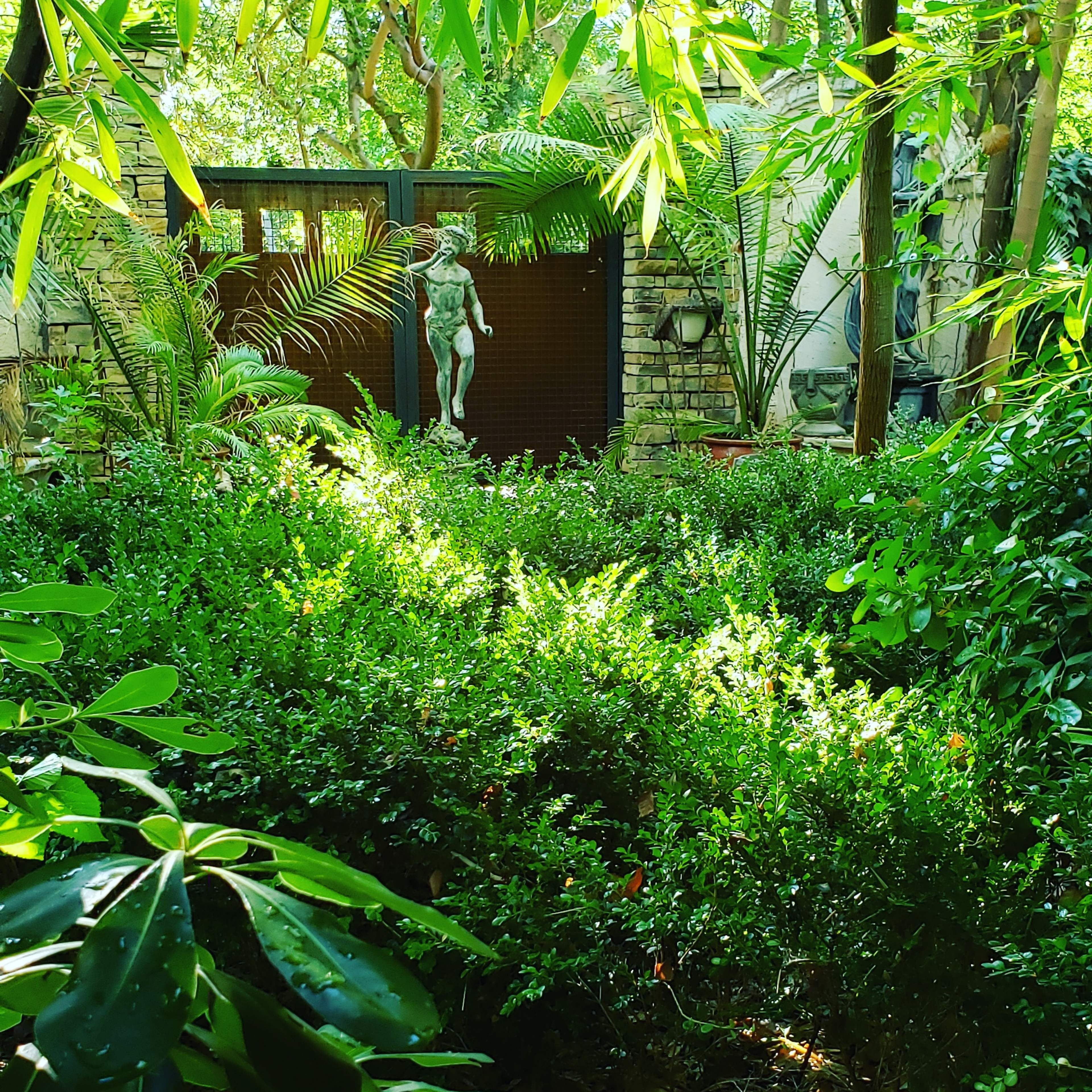 A green garden is framed by tall plants and features a statue of a figure amidst dense shrubs.