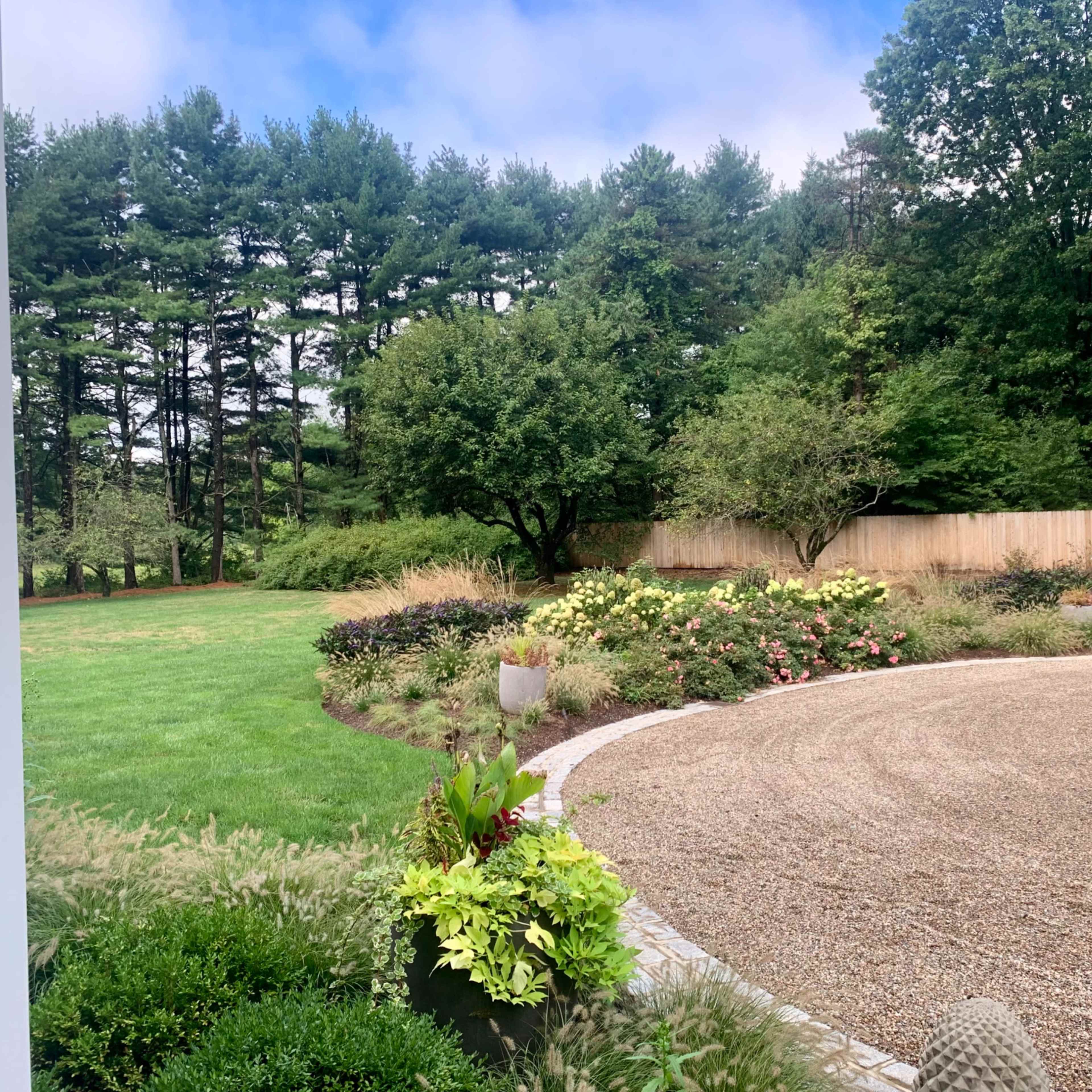 A landscaped outdoor area featuring a gravel circular drive surrounded by various plants and trees.