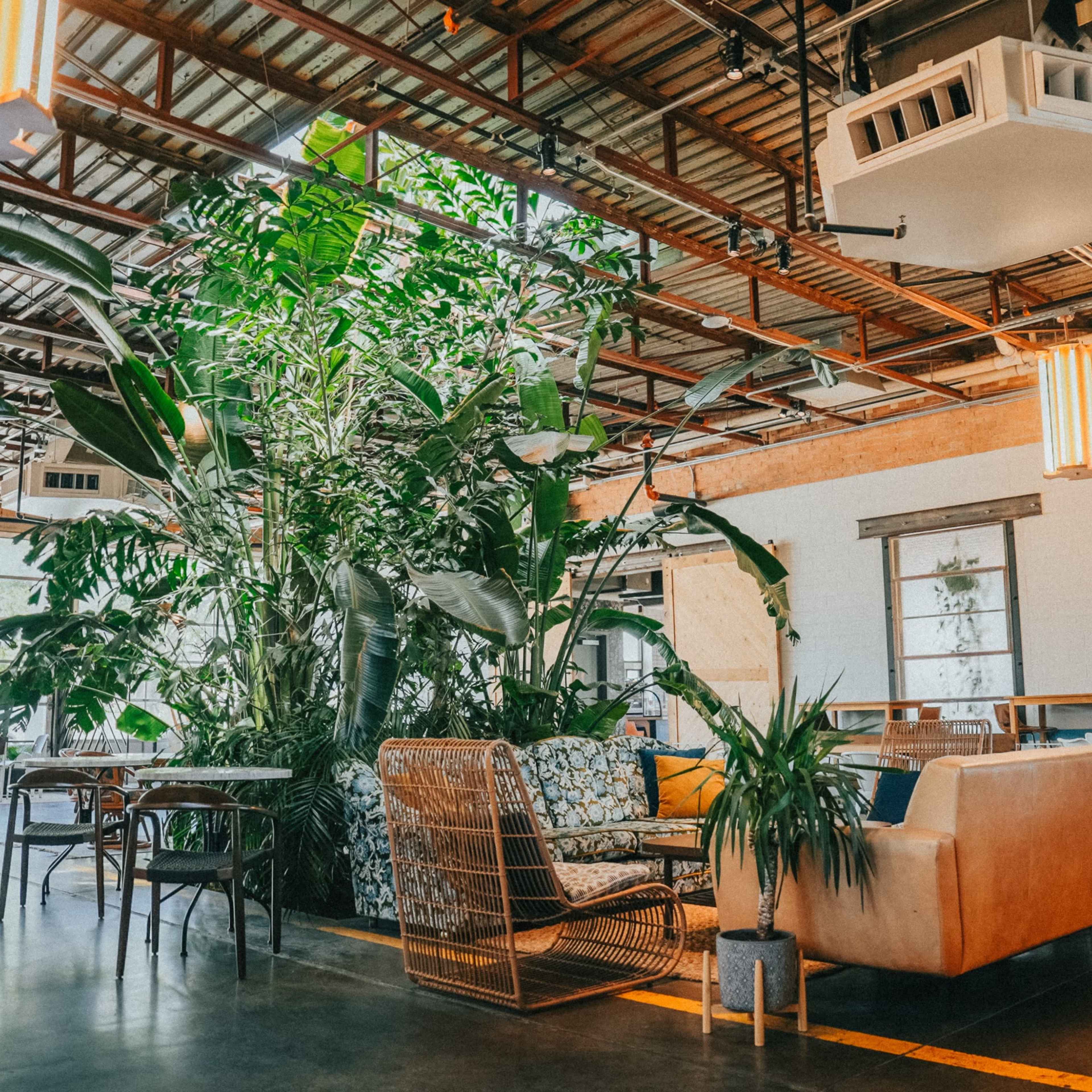 A spacious indoor lounge area with large plants, a brown leather sofa, and wooden furniture under a metal ceiling.