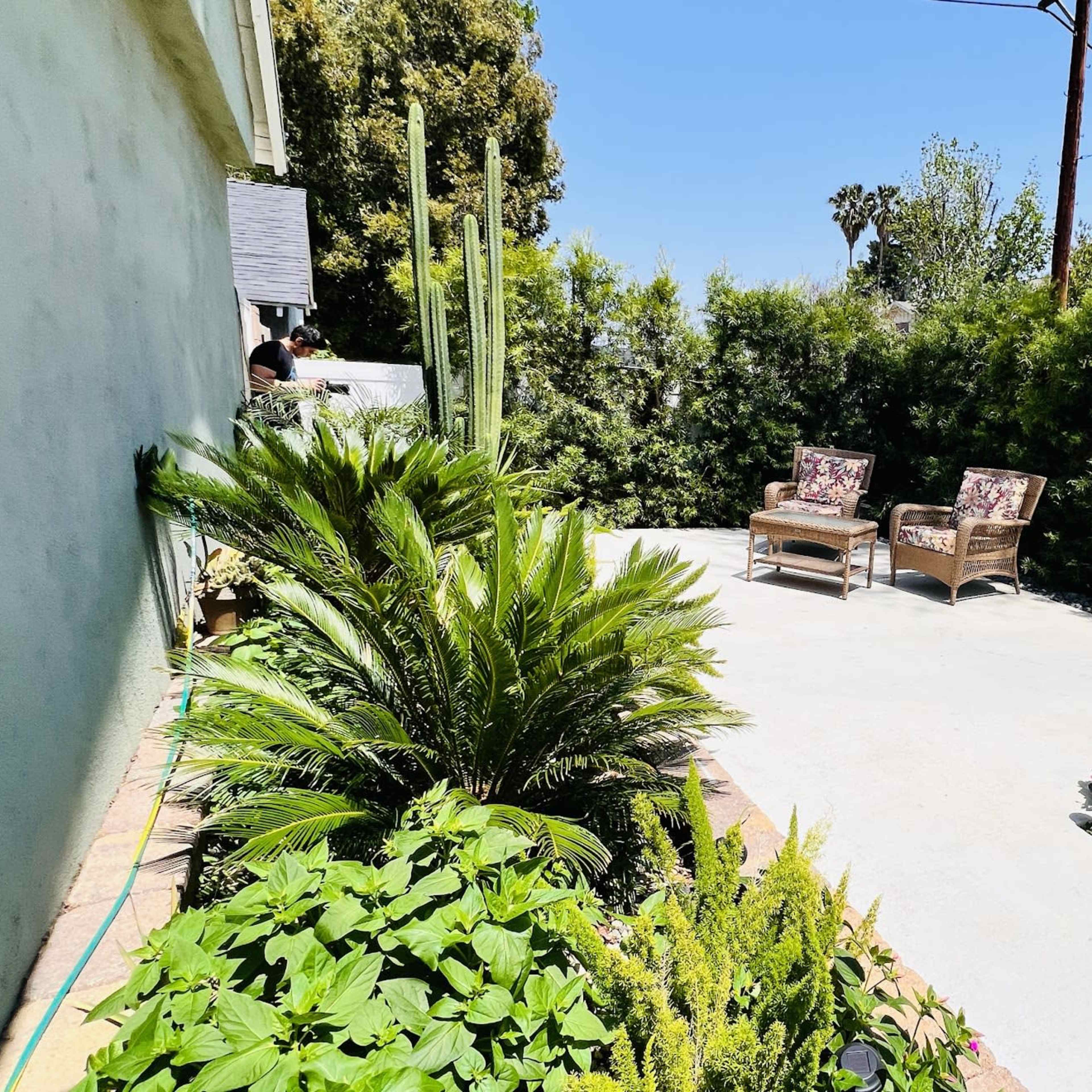 Lush Green Patio in Van Nuys ,  Private, Quiet Image in Van Nuys, Los Angeles, CA