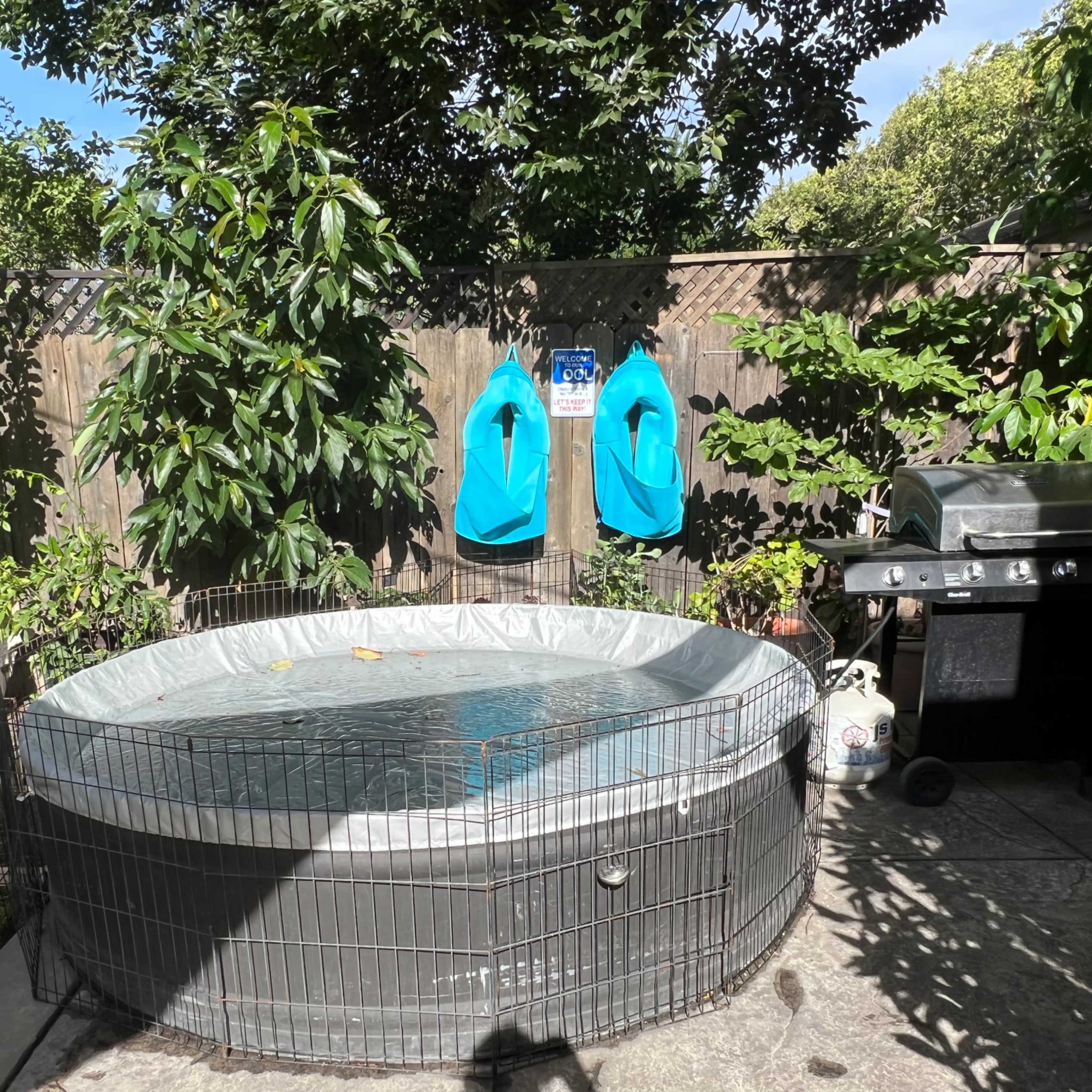 The scene features a circular above-ground pool surrounded by a wire fence, a gas grill to one side, and two blue life jackets hanging on a wooden fence, all set in a garden with lush greenery.