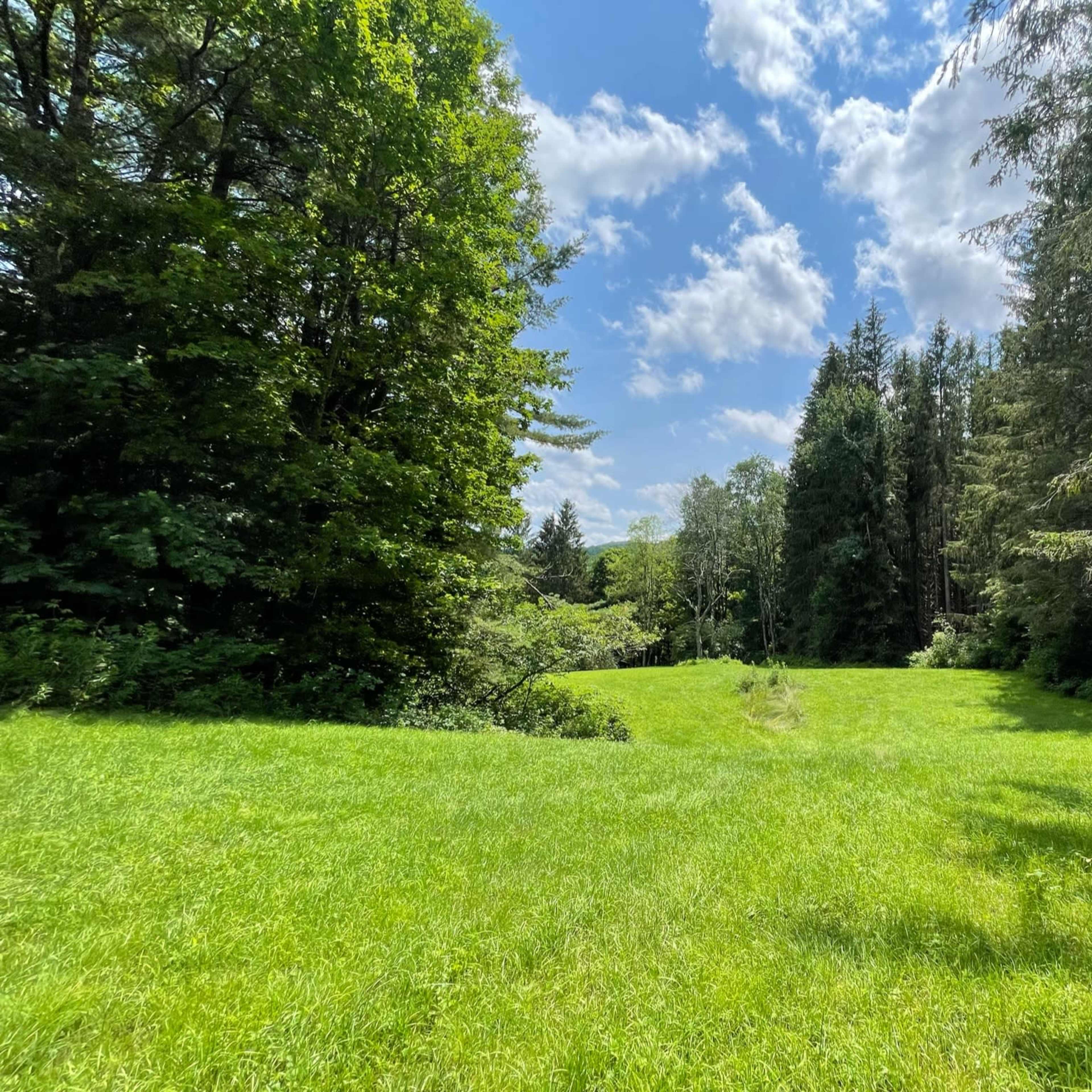 A grassy field bordered by trees under a partly cloudy sky.