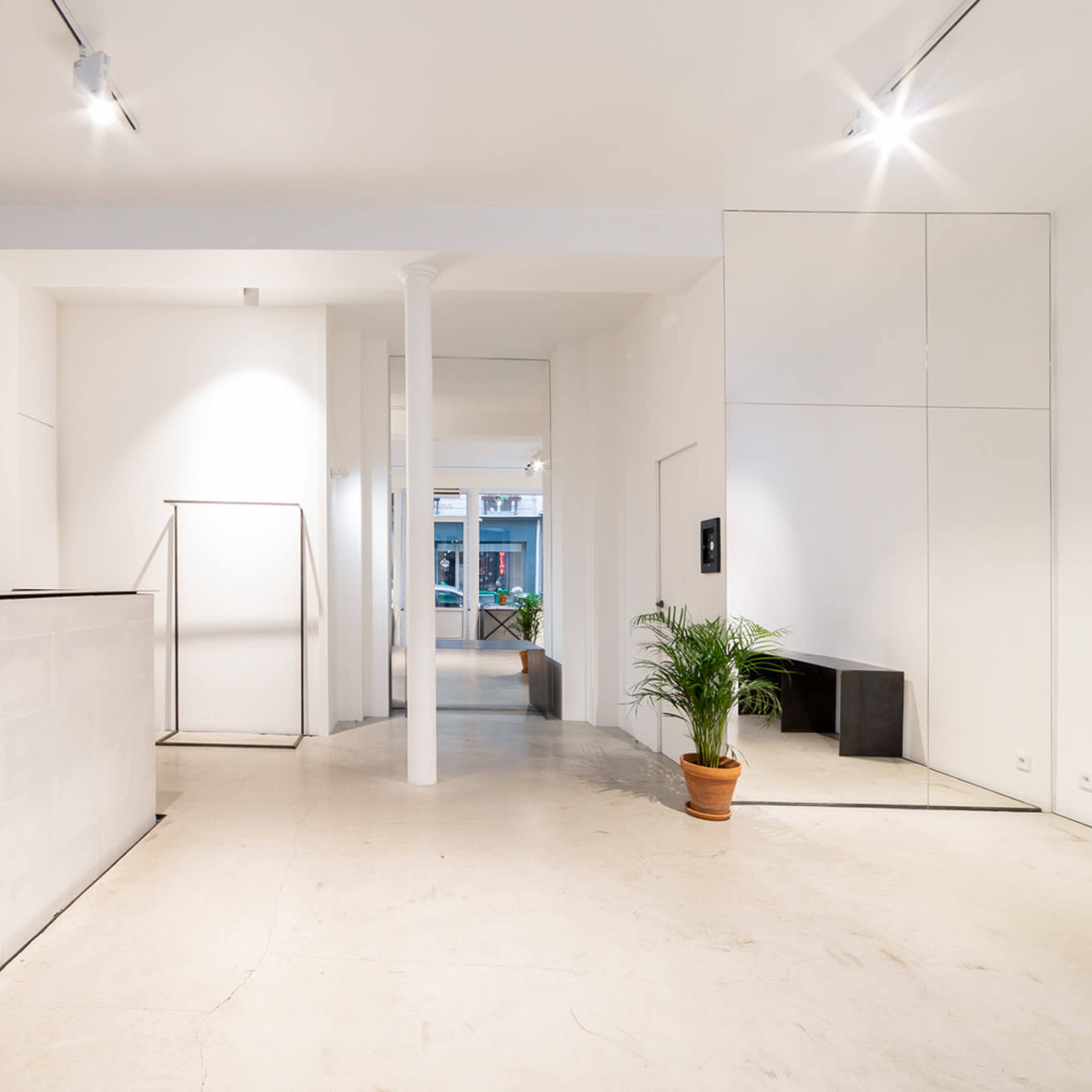 A minimalist interior of a modern space with a reception area, a potted plant, and multiple doorways leading to other rooms.
