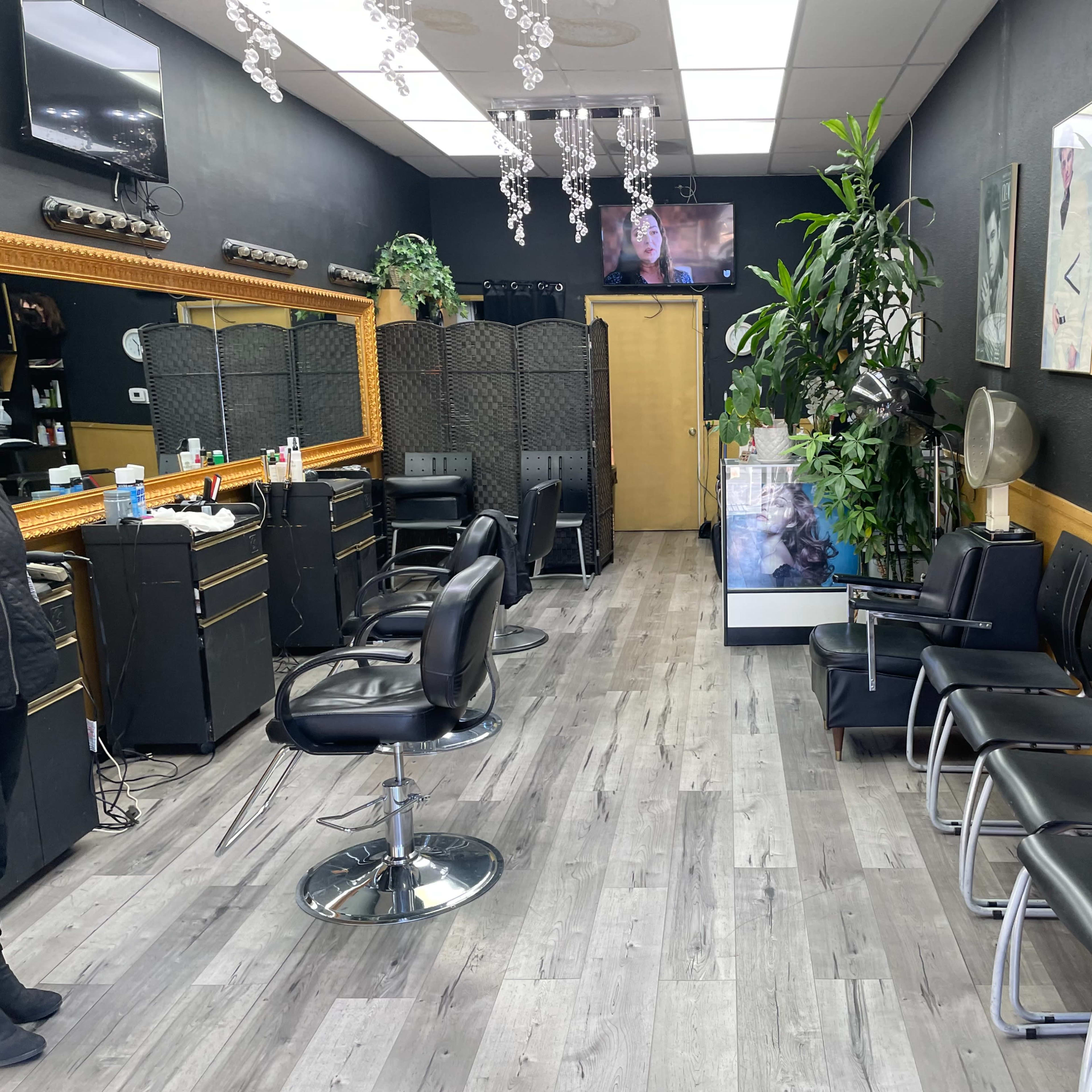 A hair salon interior with black chairs, mirrors, a television, and plants along the walls.