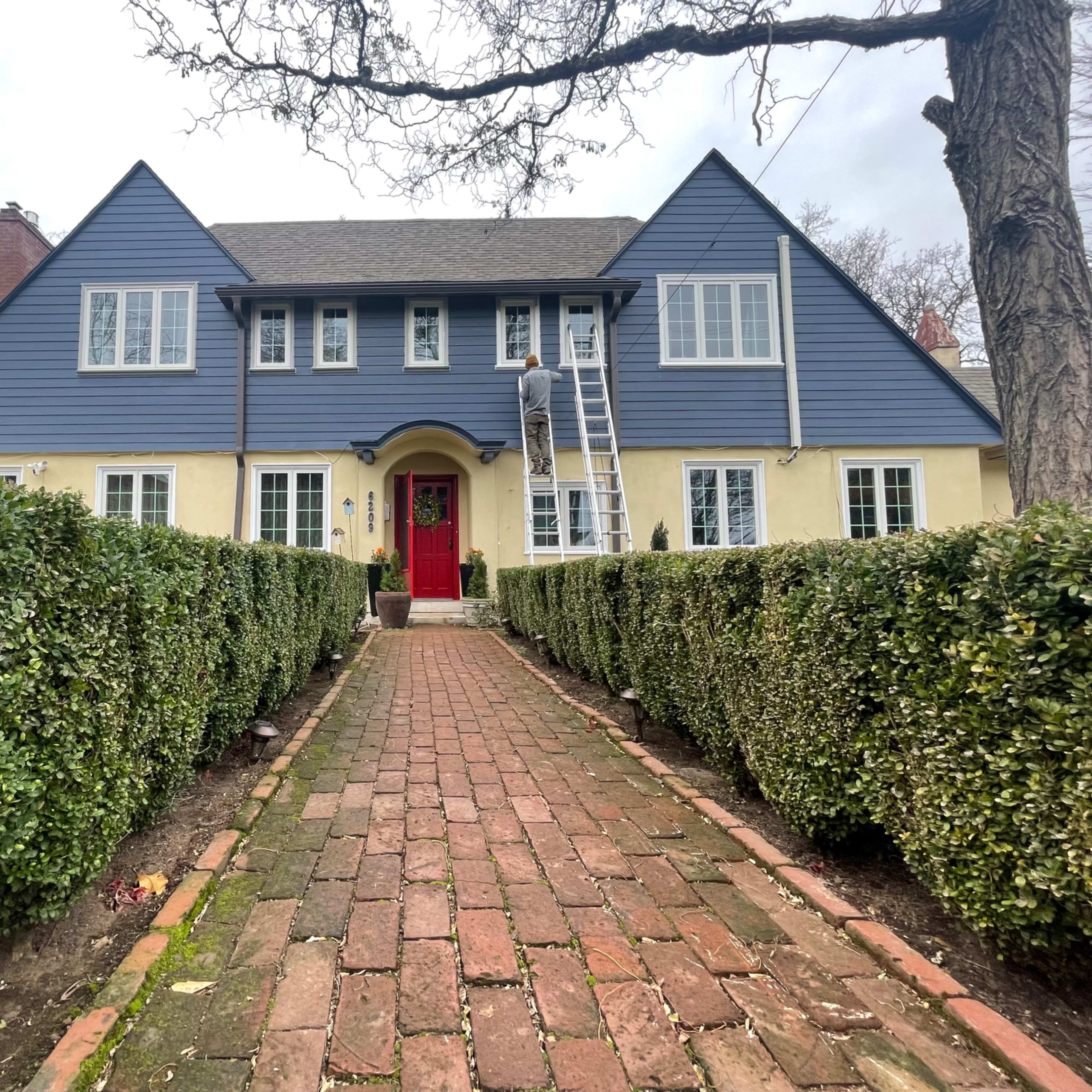 A blue and yellow house with a red door is framed by neatly trimmed hedges and a brick pathway leading to the entrance, where a person is using a ladder.