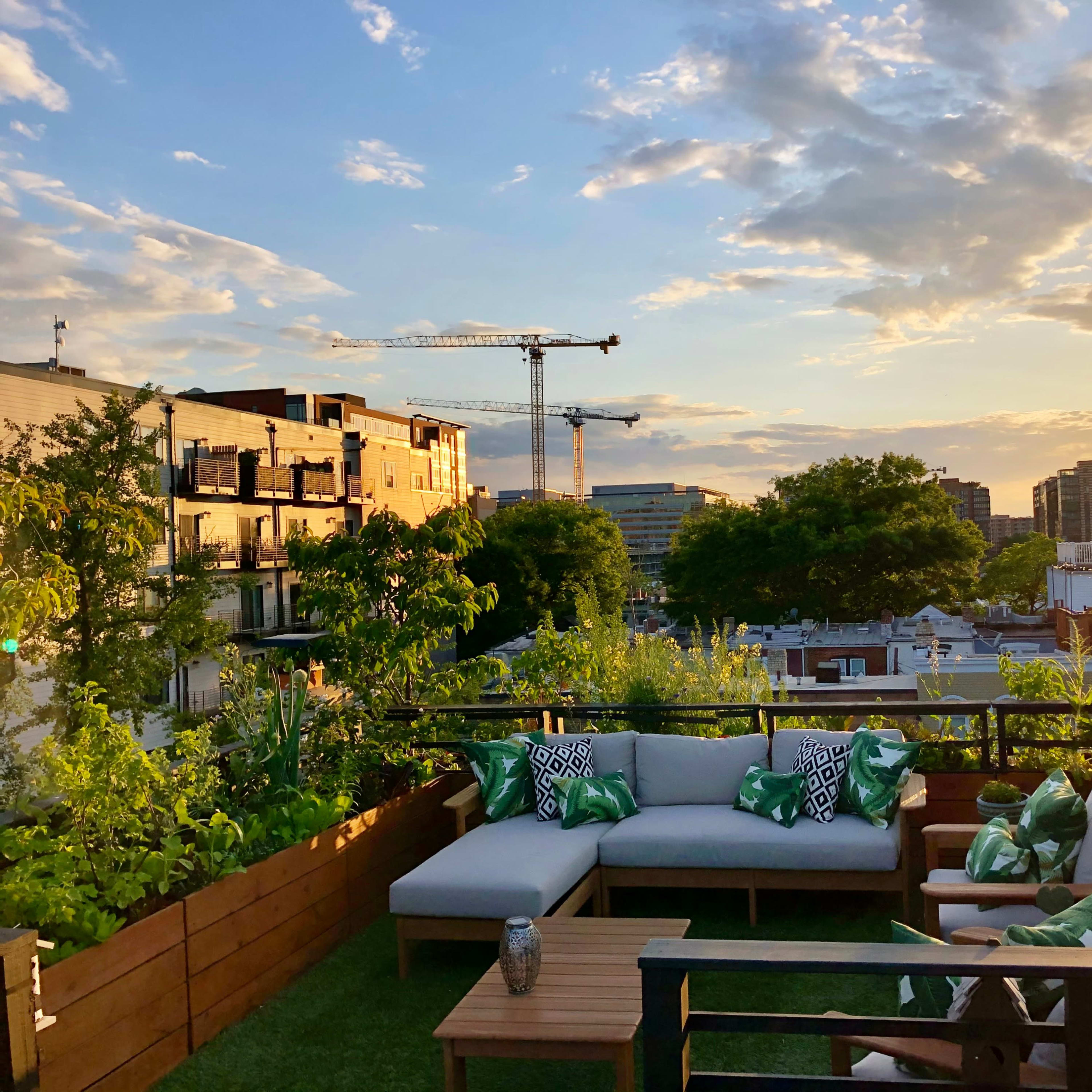 A rooftop terrace features a sectional sofa with green pillows and plants, overlooking a cityscape at sunset.