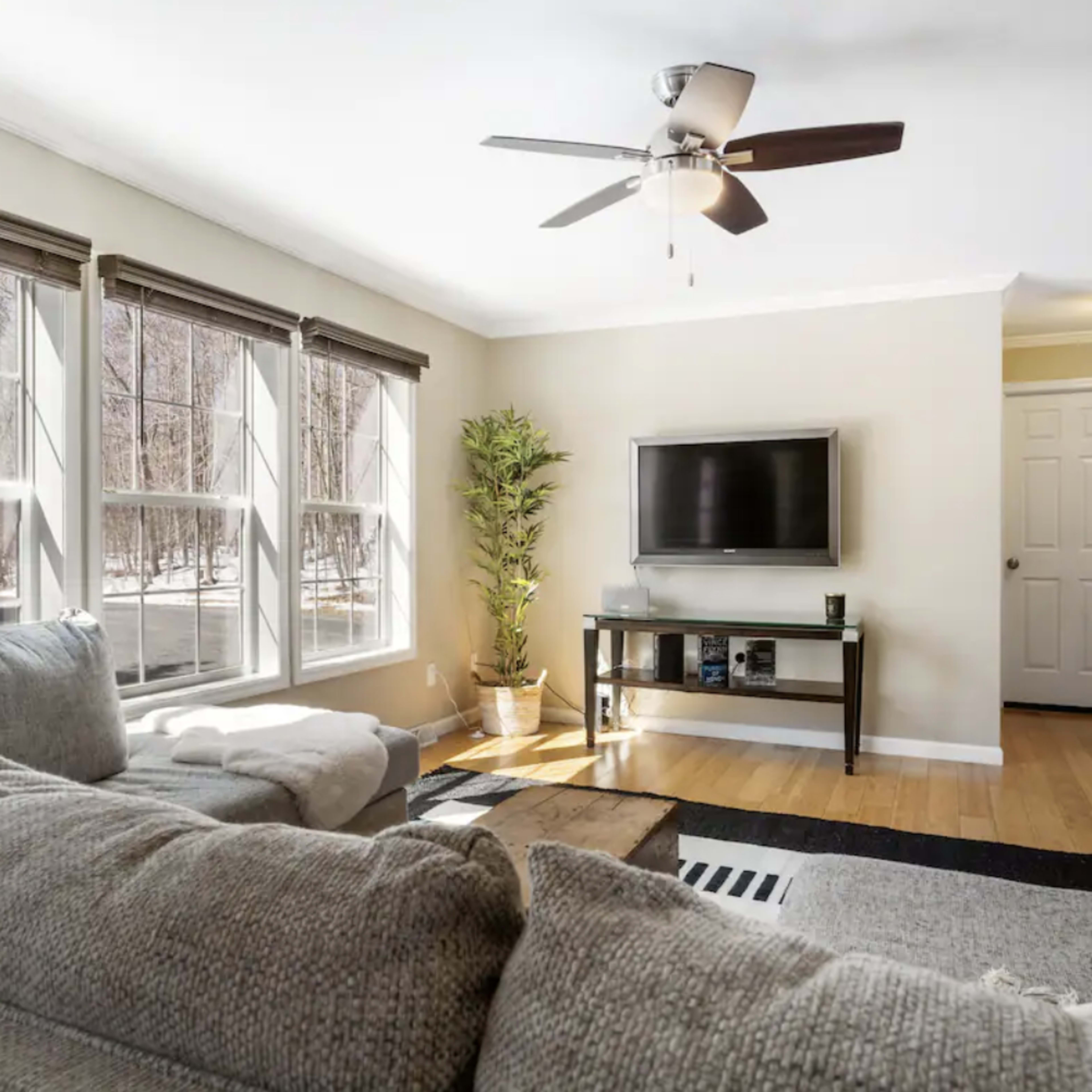 A living room features large windows, a ceiling fan, a television on a stand, and a sectional sofa, with hardwood floors and a decorative plant.