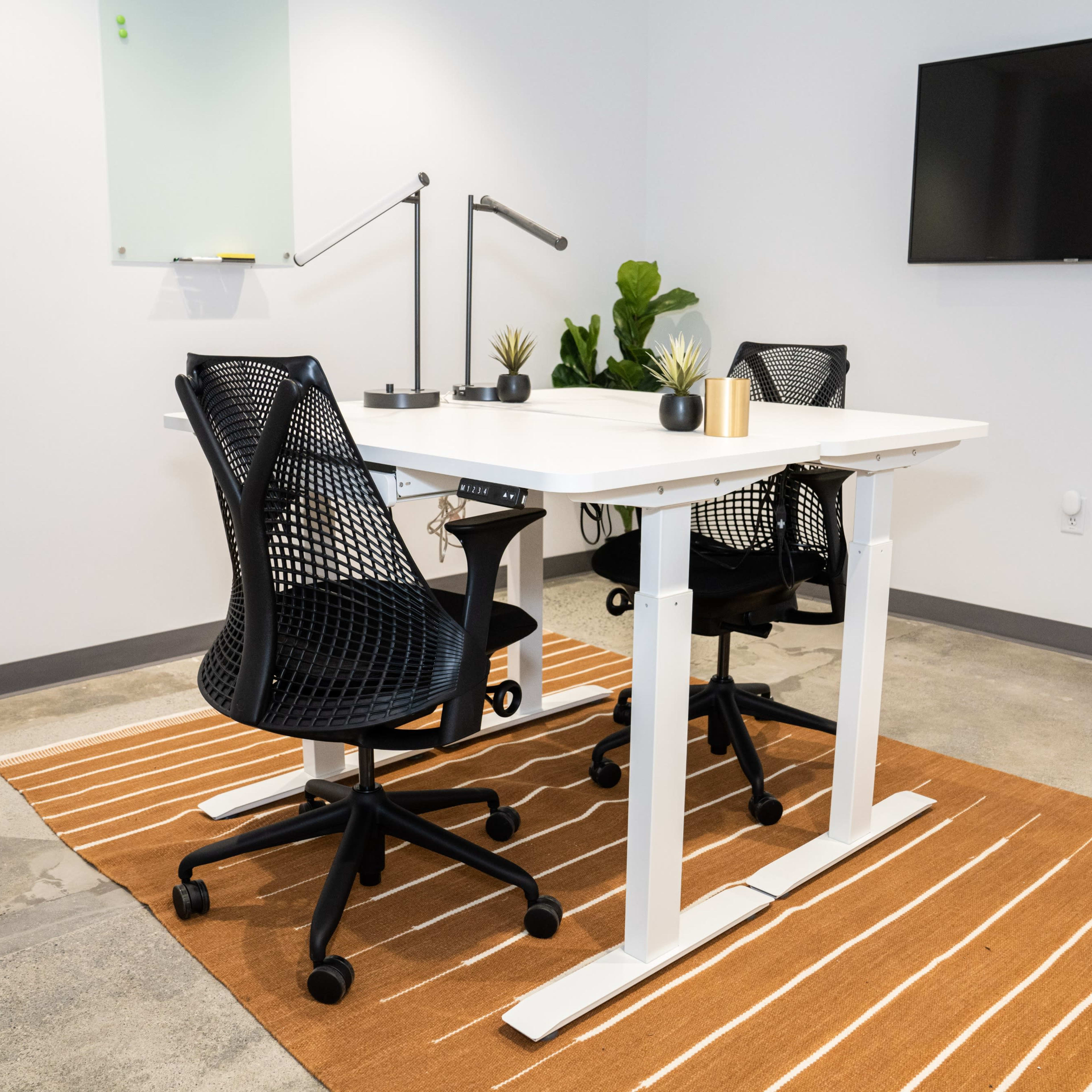 A modern office space features a white standing desk with two black mesh chairs on a brown striped rug, accompanied by plants and a wall-mounted TV.