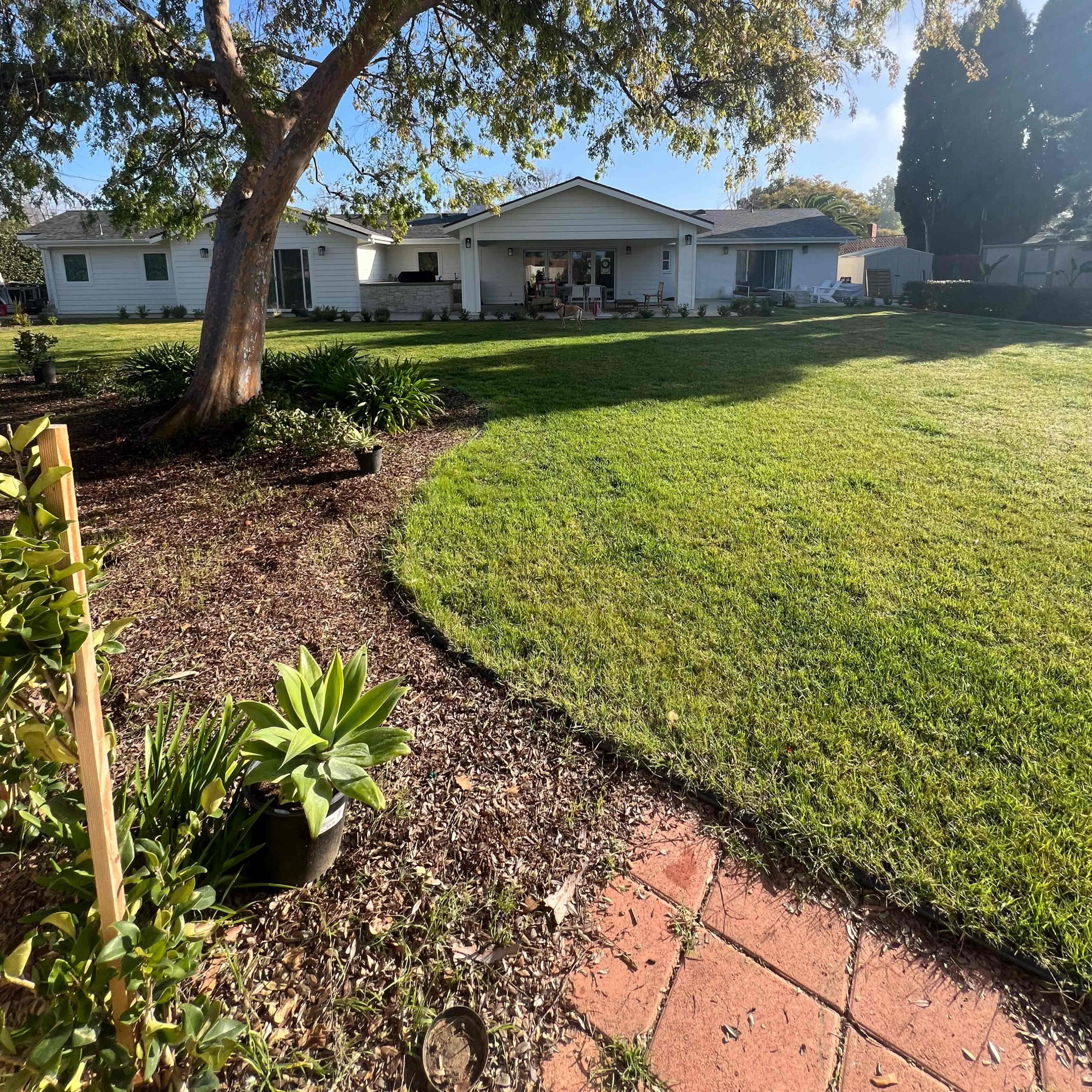 Stunning mid-century modern backyard oasis nestled in the heart of North Tustin, California. Image in North Tustin, North Tustin, CA