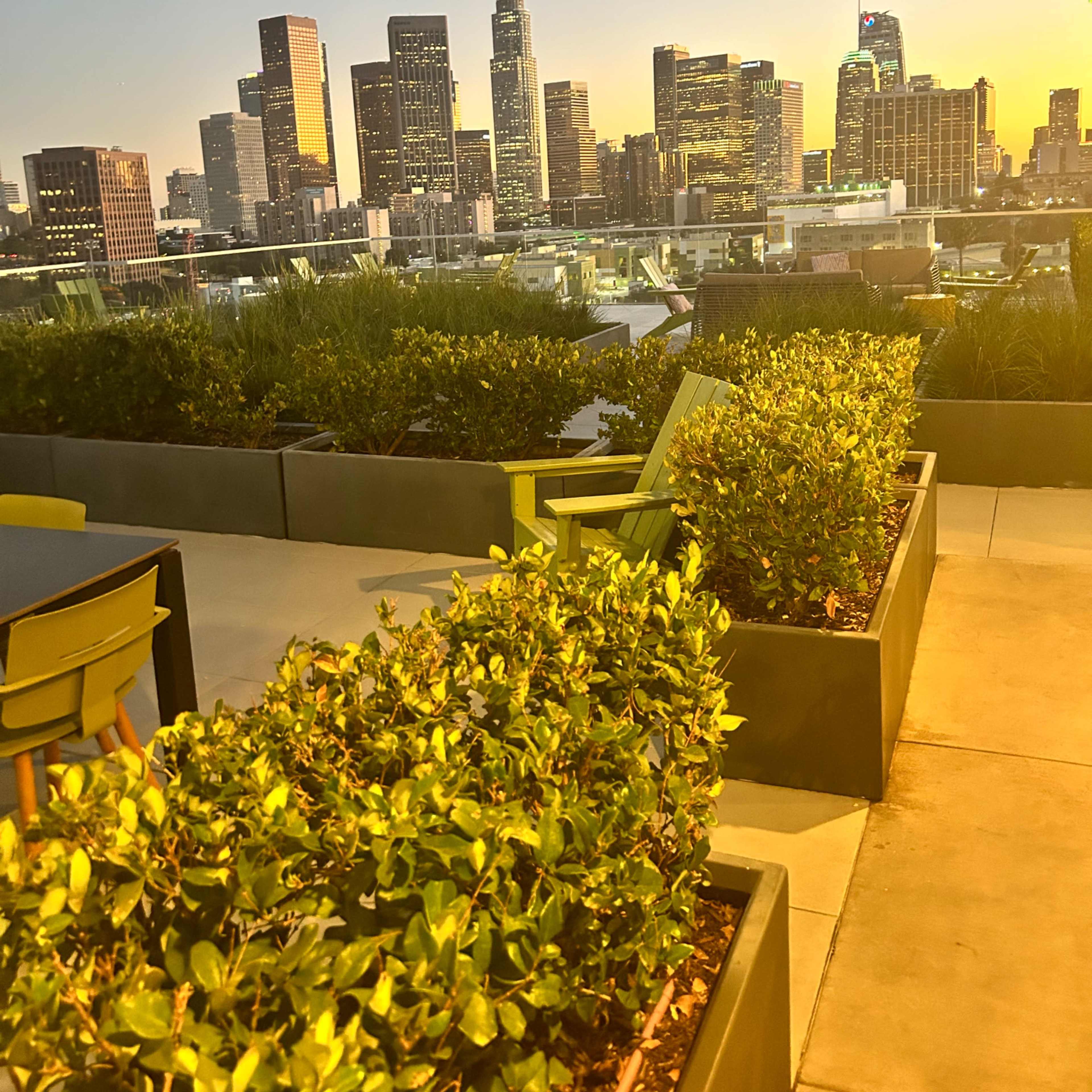 A rooftop patio with green planters overlooking the skyline of a city during sunset.