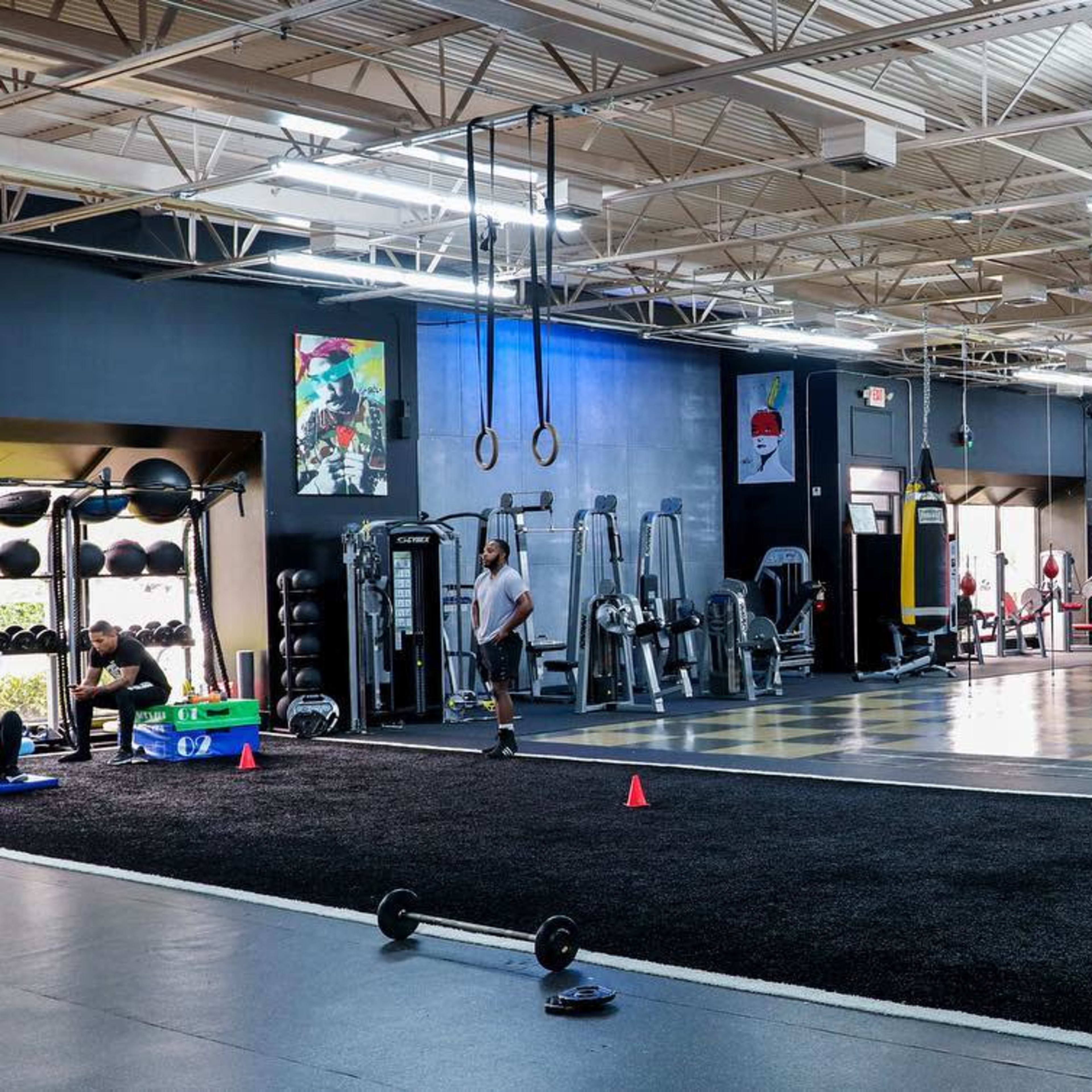 Best Mma Gyms In Tampa thumbnail