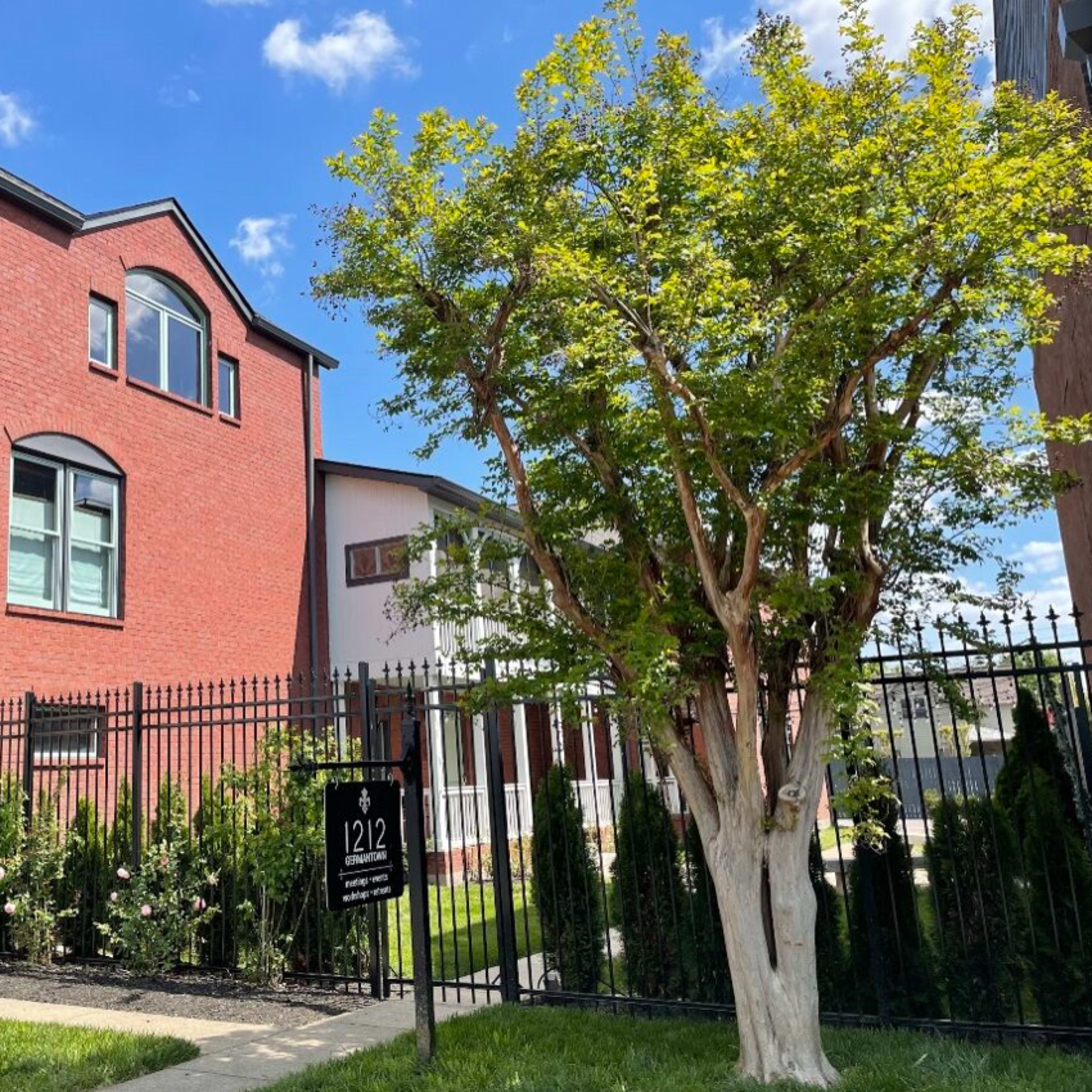 A two-story red brick house with multiple windows is set behind a black iron fence, alongside a well-maintained yard featuring a small tree.