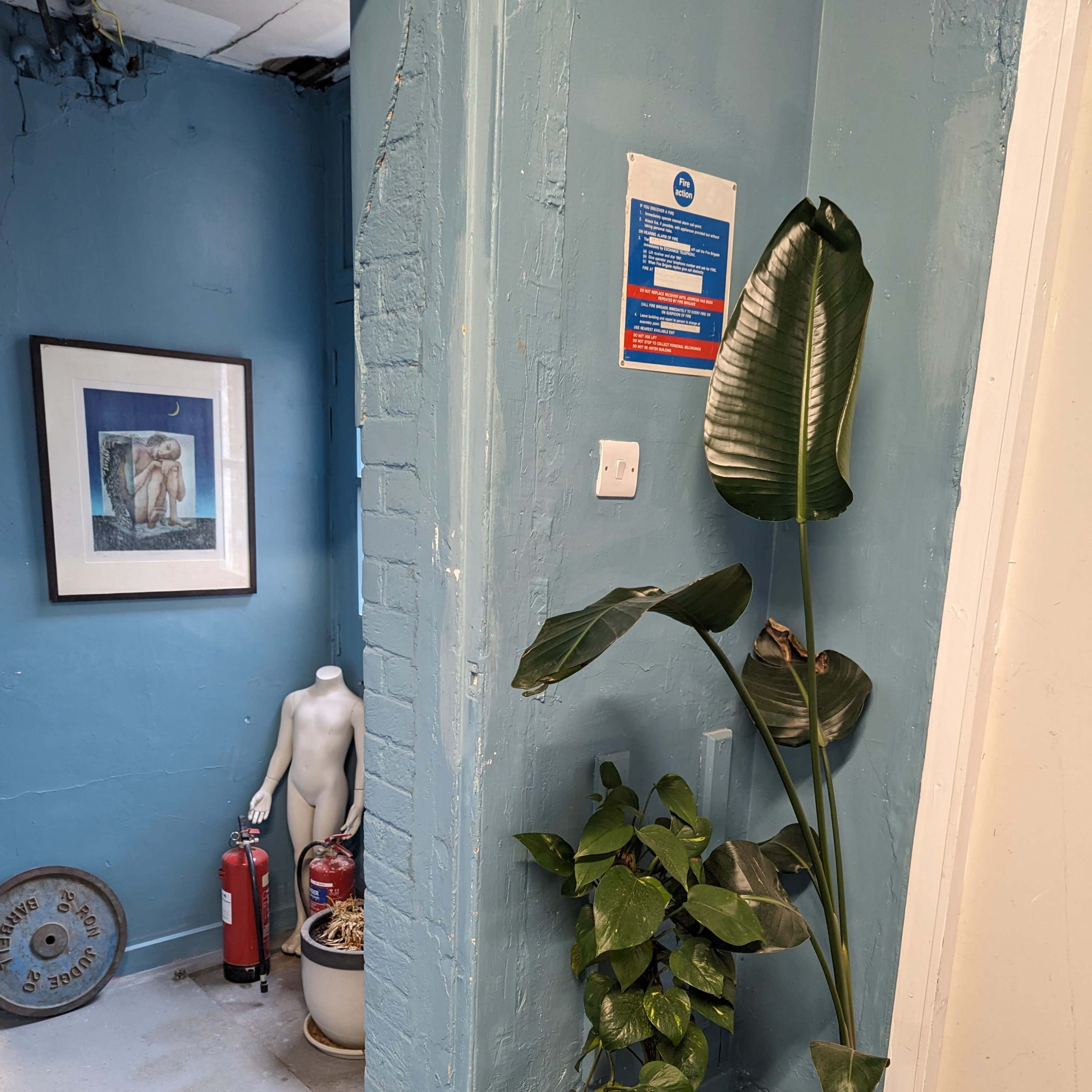 A tall plant and smaller potted plant are placed near a blue wall, with a partially visible mannequin in the background beside a fire extinguisher and framed artwork.