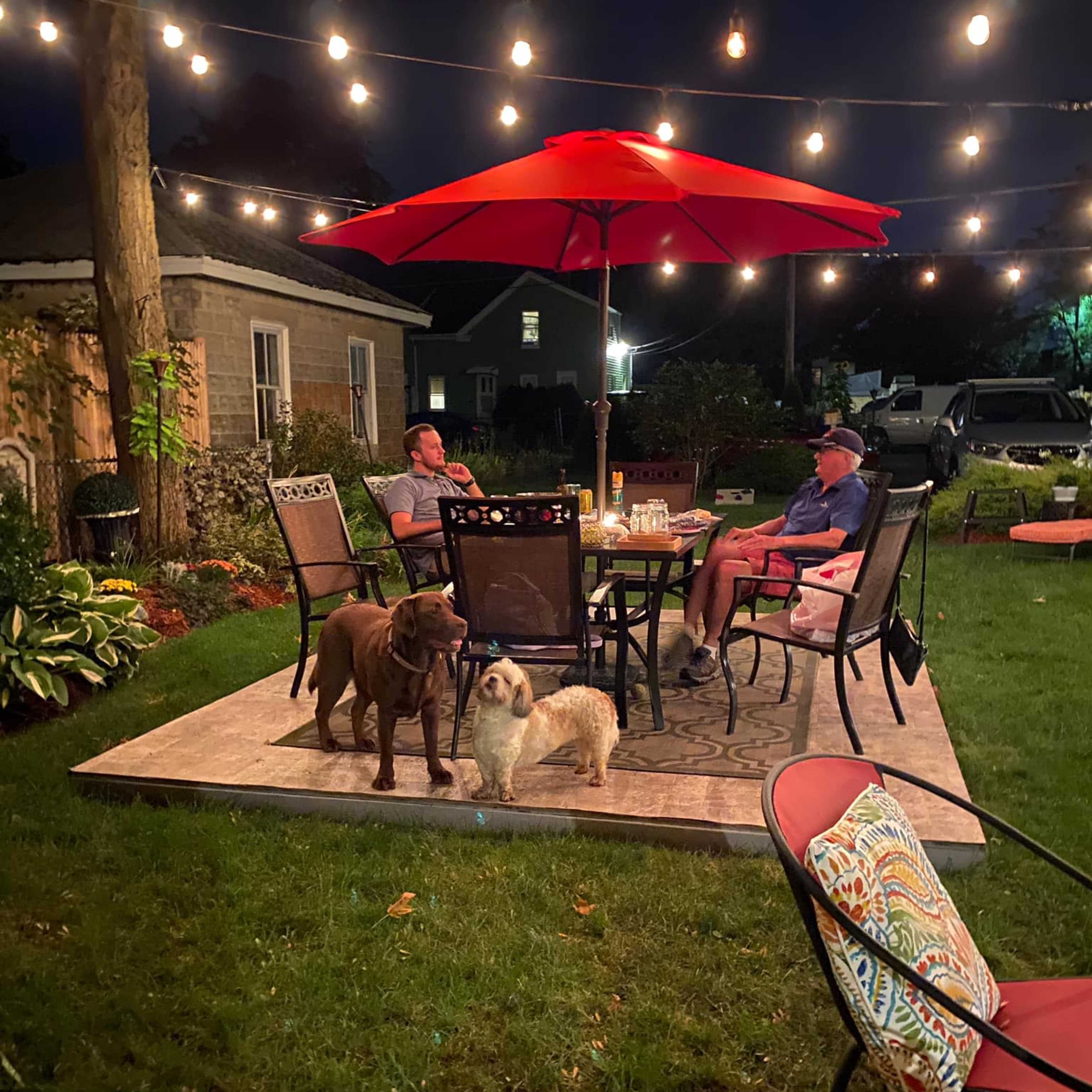 Two men sit at a table under an umbrella in a well-lit backyard, surrounded by three dogs and string lights.