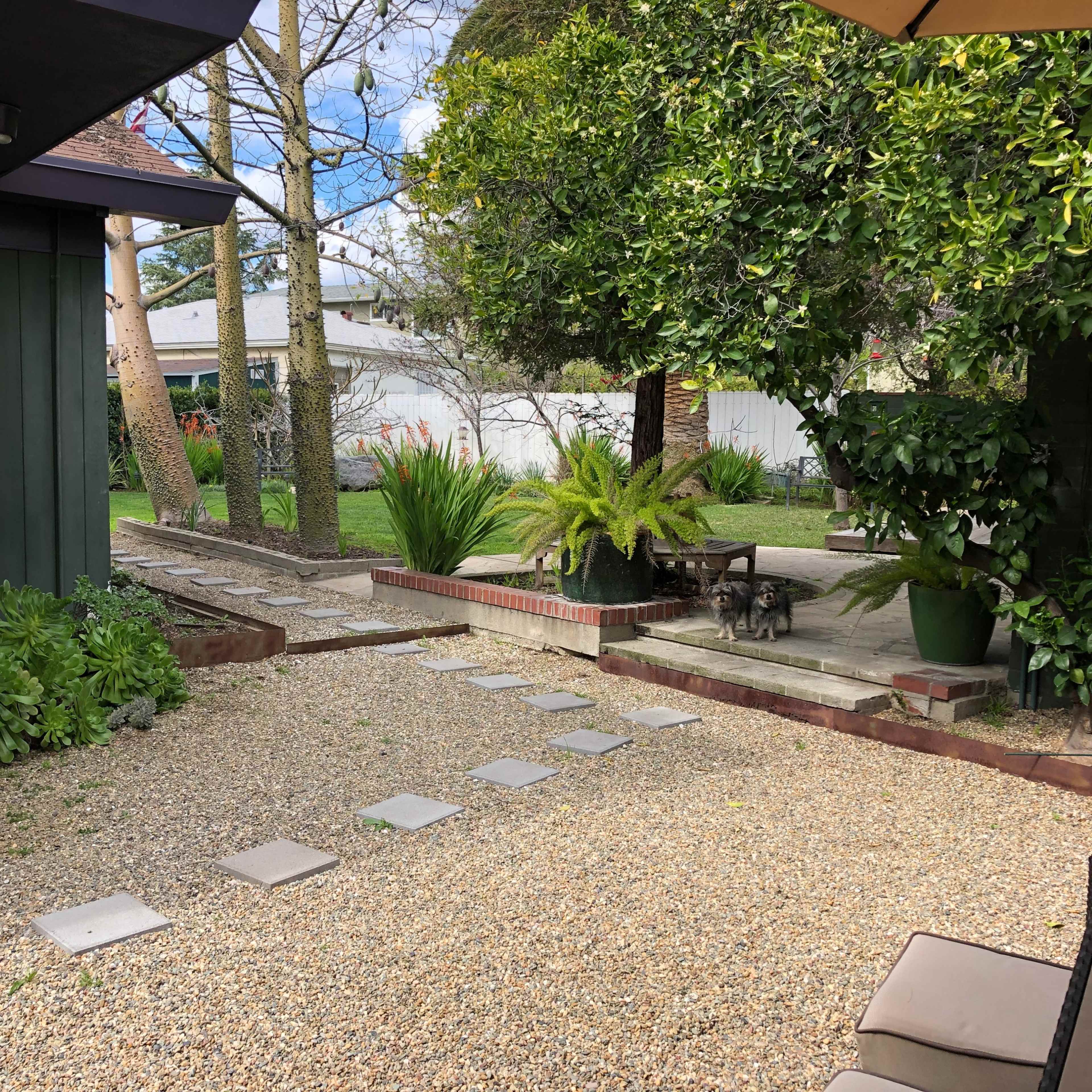 A gravel courtyard features stepping stones leading to a landscaped garden with plants and trees.