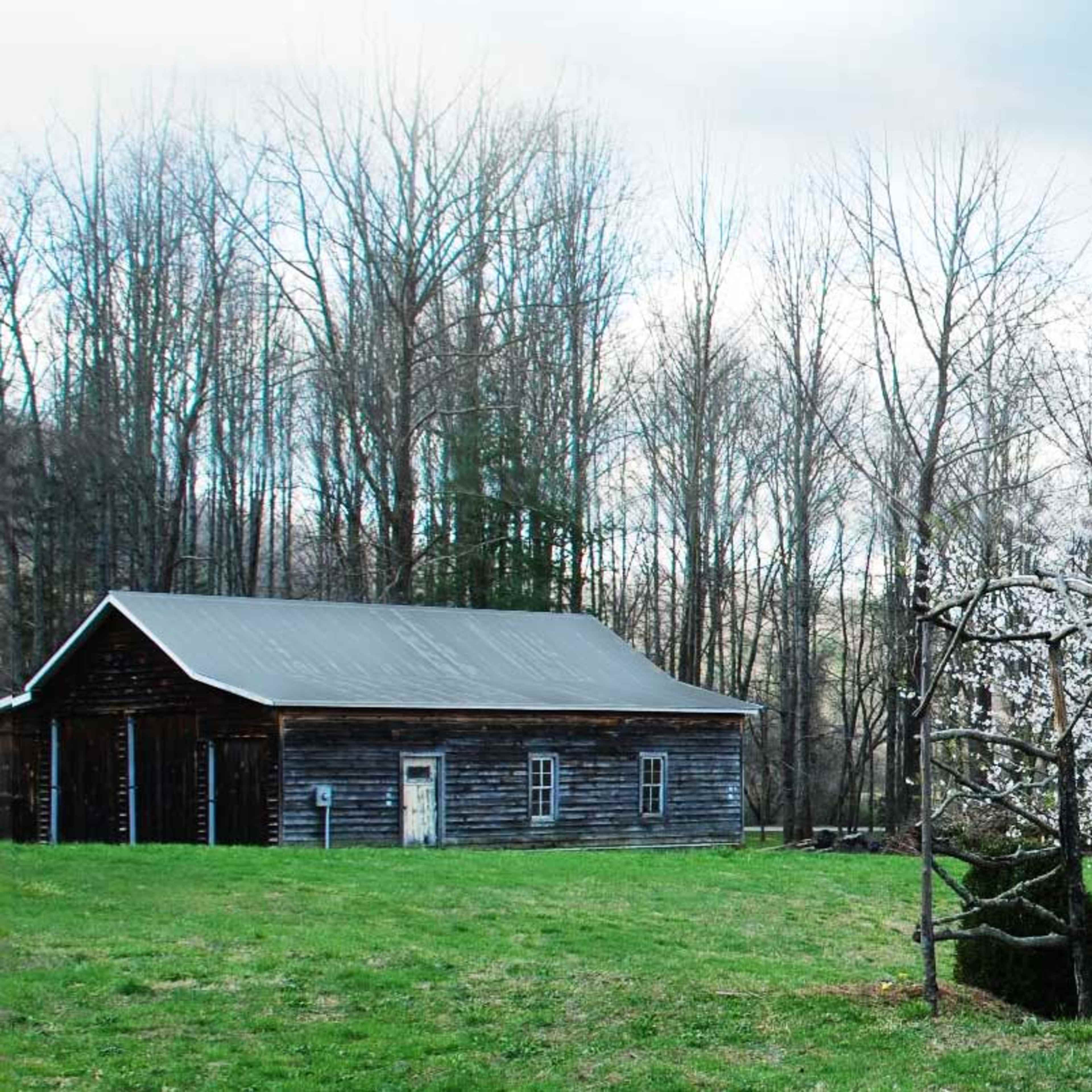 A wooden barn stands beside a pond, with cherry blossom trees in full bloom nearby.