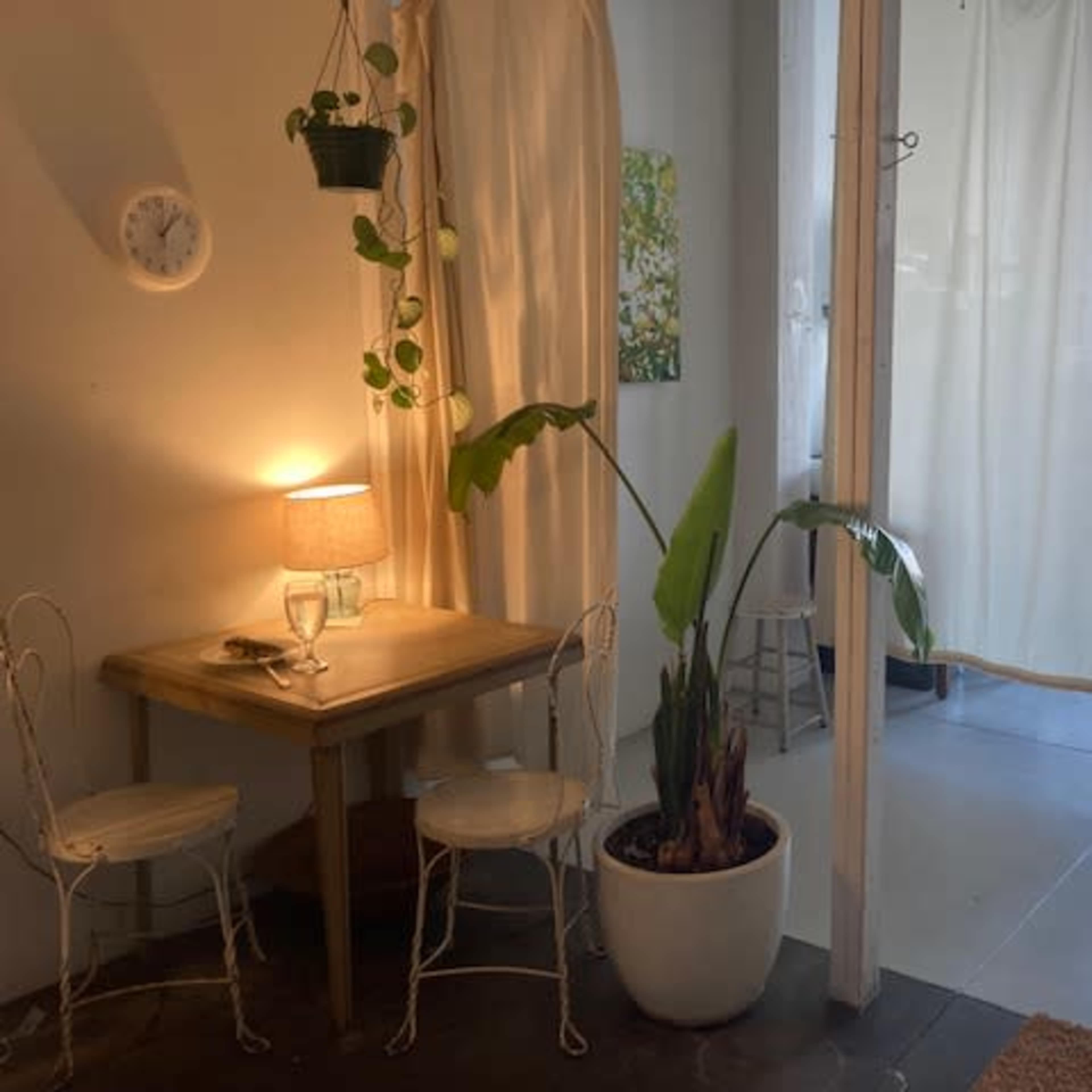 Peaceful North Lit Studio Image in Sunset Park, Brooklyn, NY