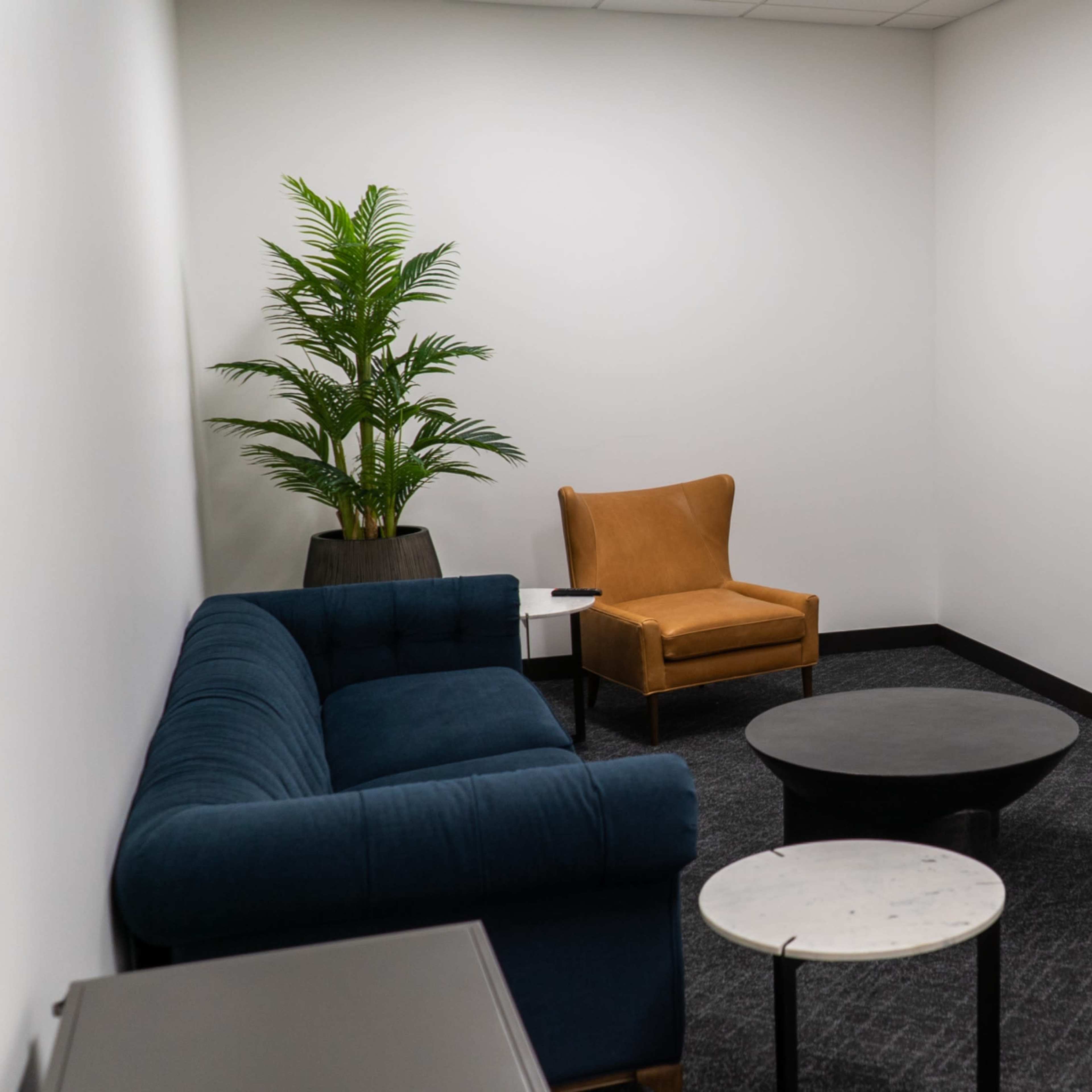 Green Room 105 near Downtown Dallas Image in South Dallas, Dallas, TX