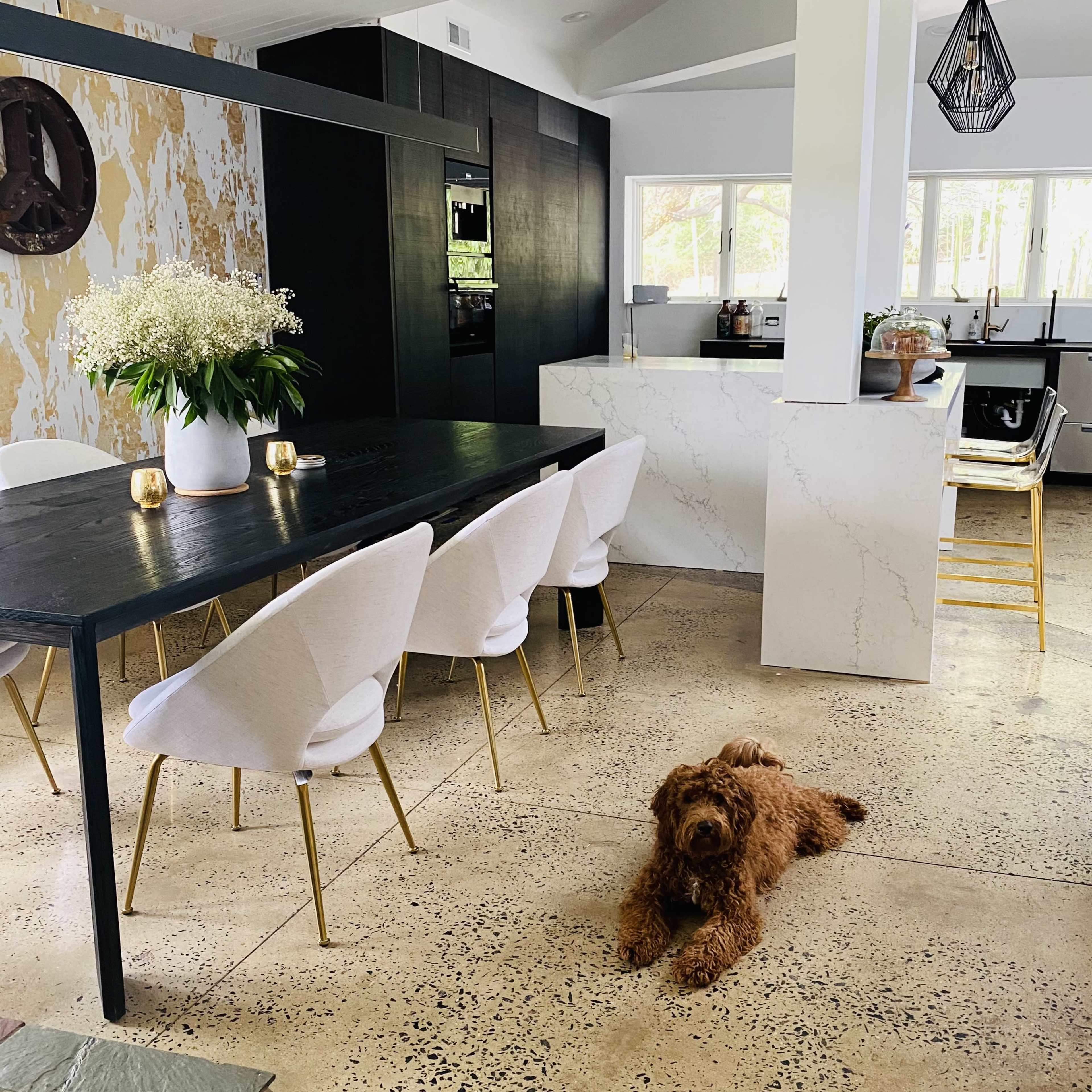 A spacious kitchen features a dark dining table surrounded by white chairs, with a dog resting on the floor.