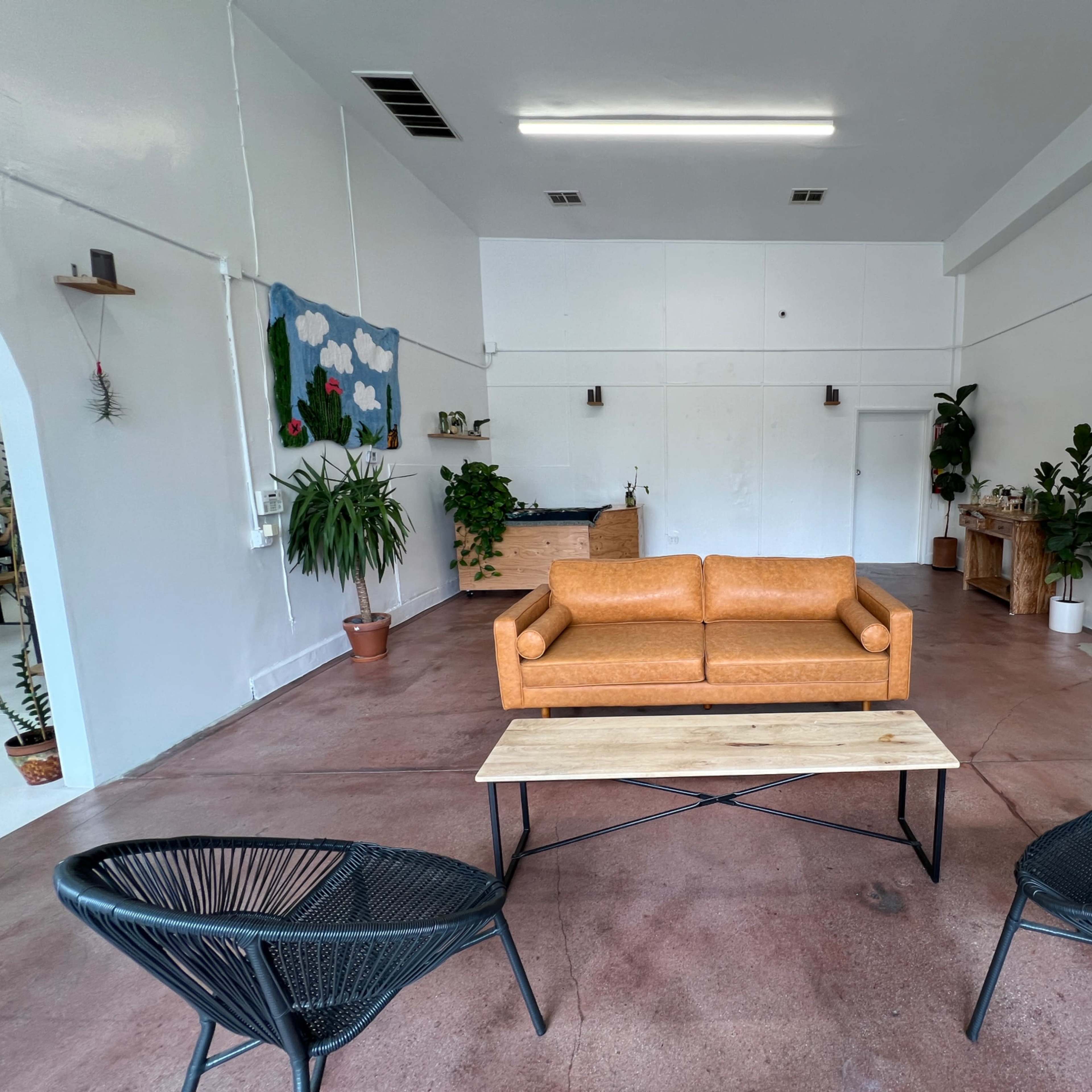 A spacious interior with a brown sofa, two black chairs, a coffee table, and various plants against white walls.