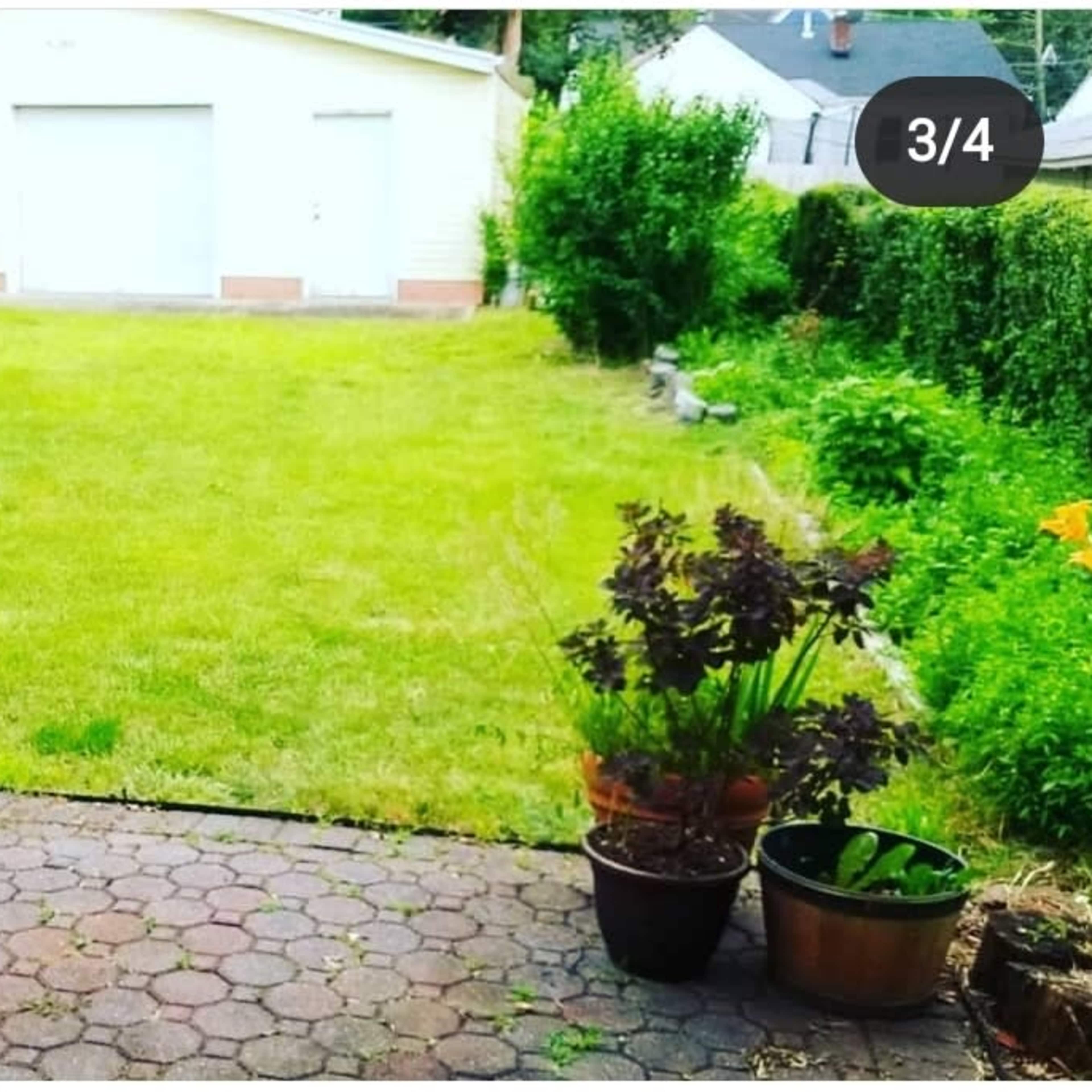 A grassy backyard with a gravel patio, two flower pots, and a view of a garage in the background.