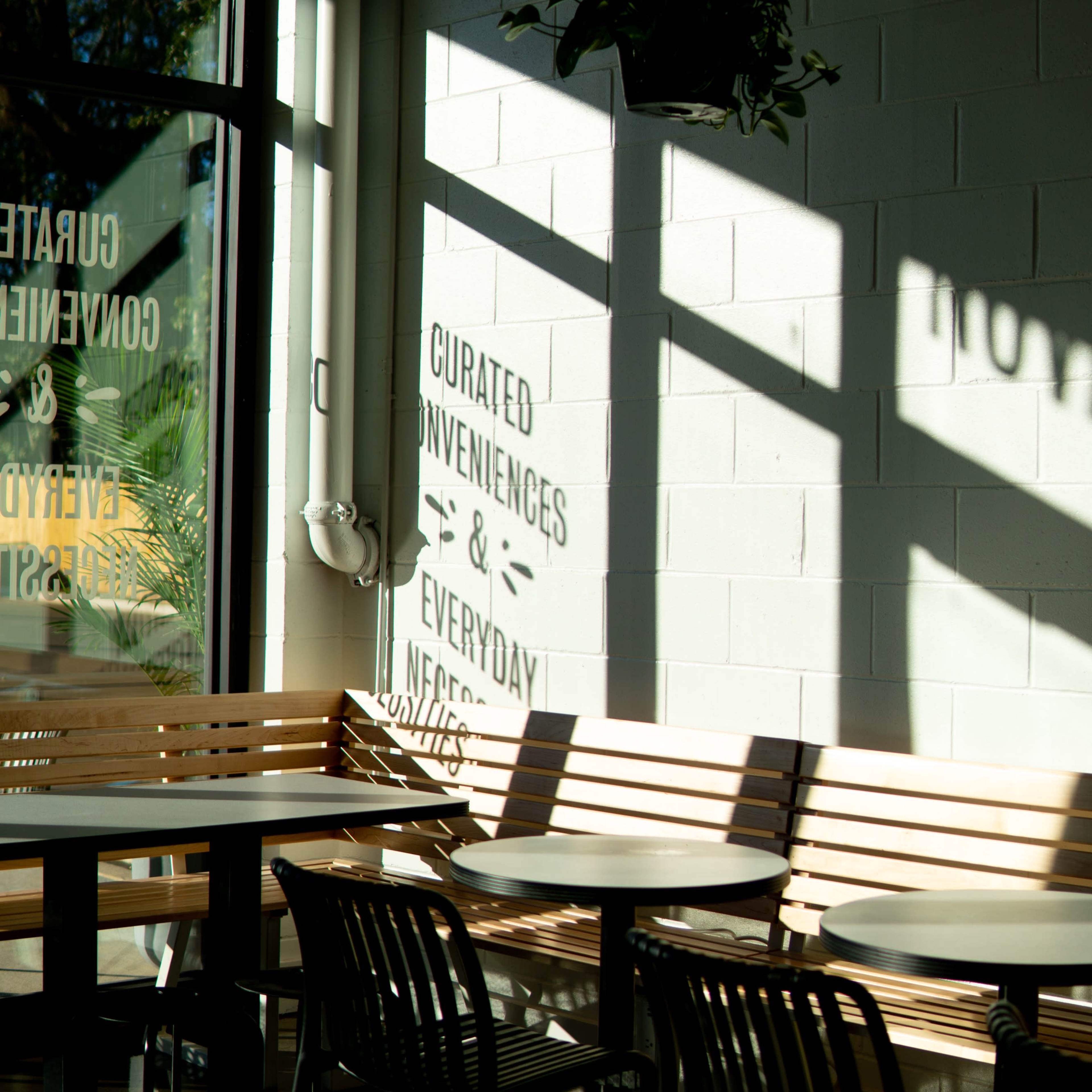 A sunlit café interior features wooden benches, metal chairs, and shadows cast by the overhead plants and windows.