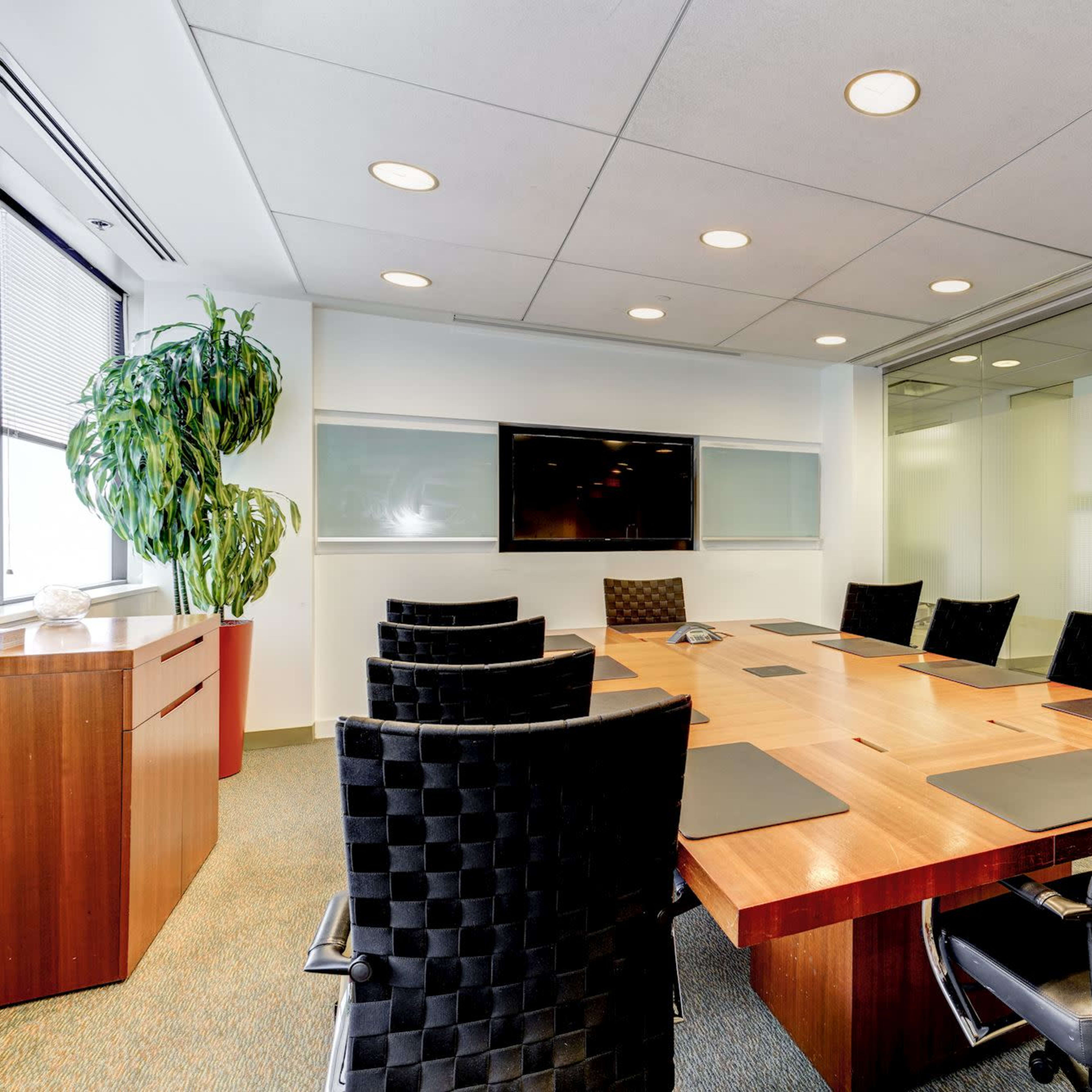 A conference room features a large wooden table surrounded by black chairs, with a mounted screen on the wall and a potted plant in one corner.