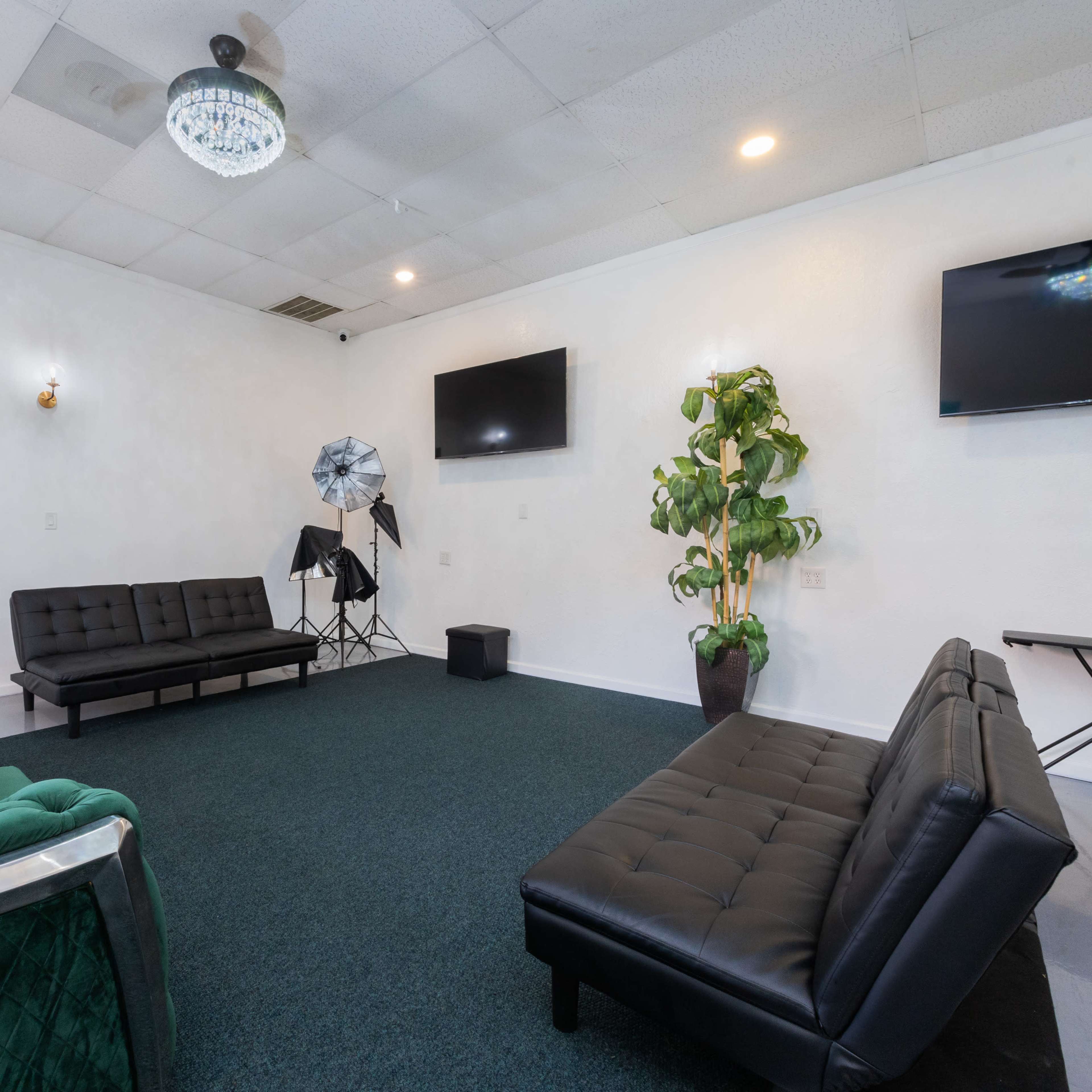 The room features a green velvet couch, black seating, two wall-mounted TVs, and a potted plant, all situated on a carpeted floor.