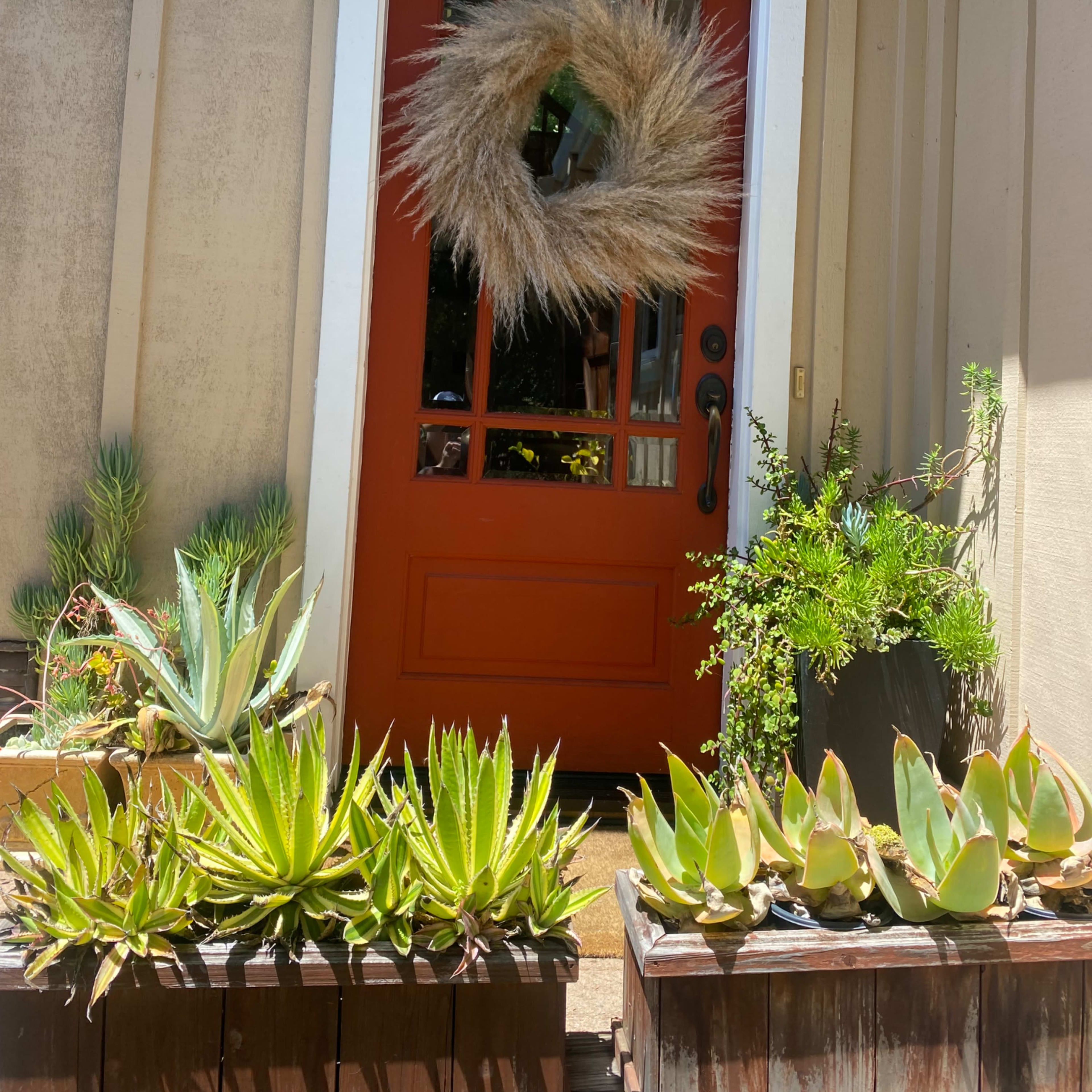 A front door painted in orange, adorned with a decorative wreath, surrounded by planters filled with various succulents.