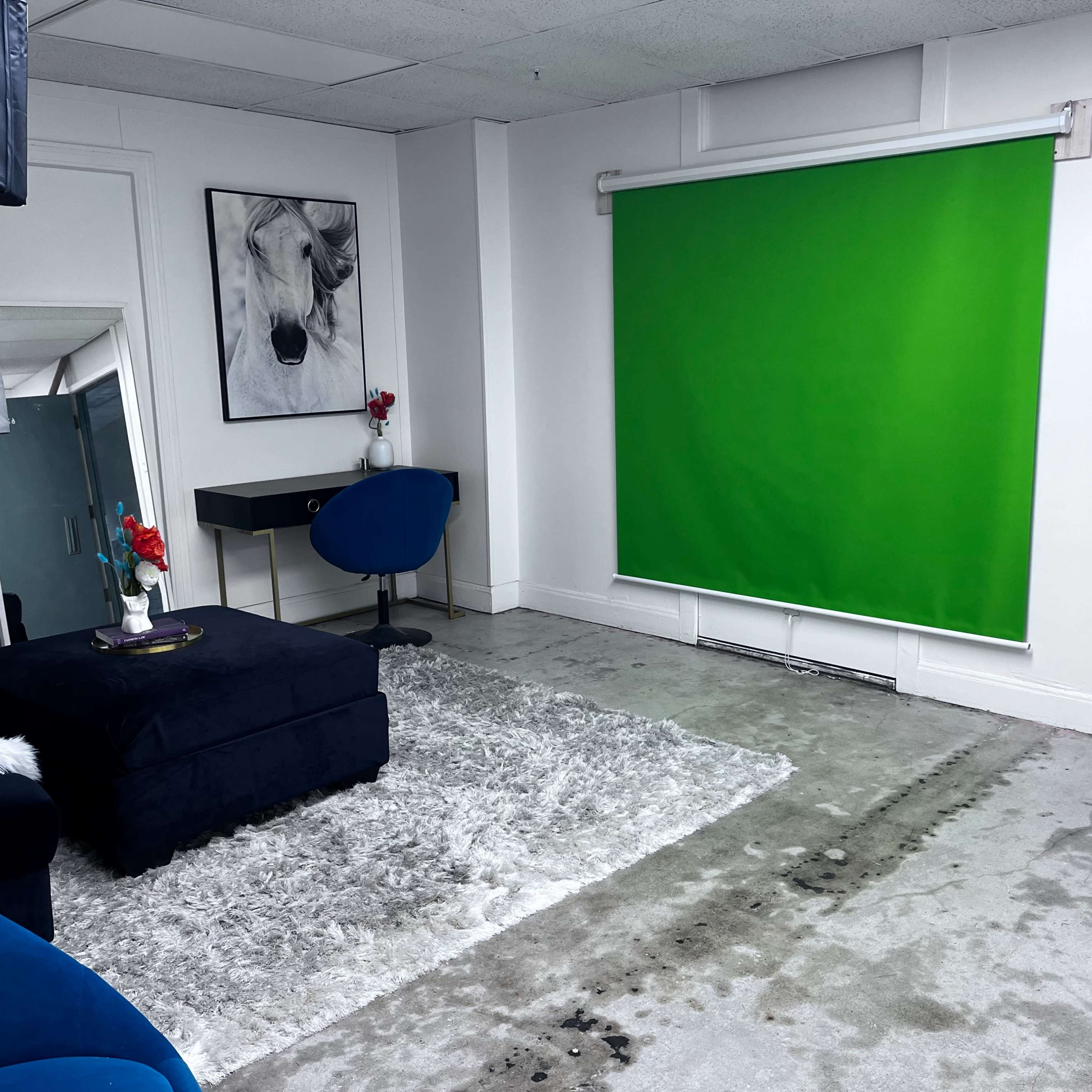 A minimalist room featuring a green backdrop on one wall, a dark blue velvet sofa, a small table with a vase of red flowers, and a light-colored rug on a concrete floor.