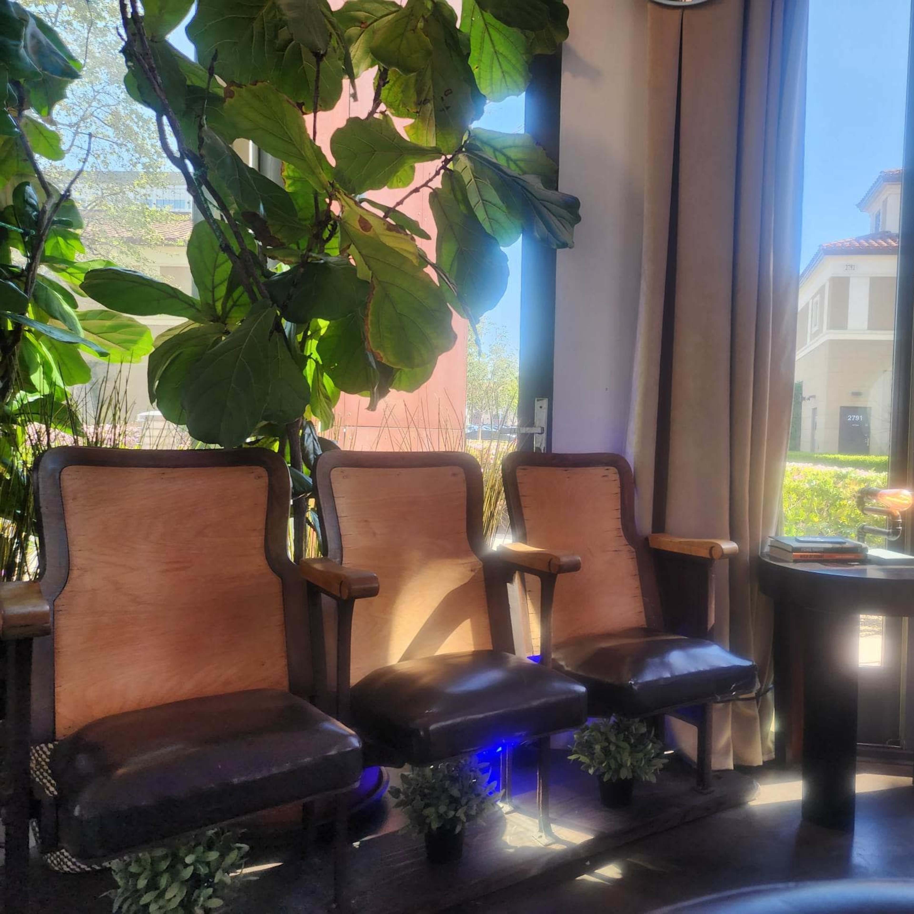 A seating area with three wooden chairs and a small table, surrounded by large plants and sunlight streaming through the windows.
