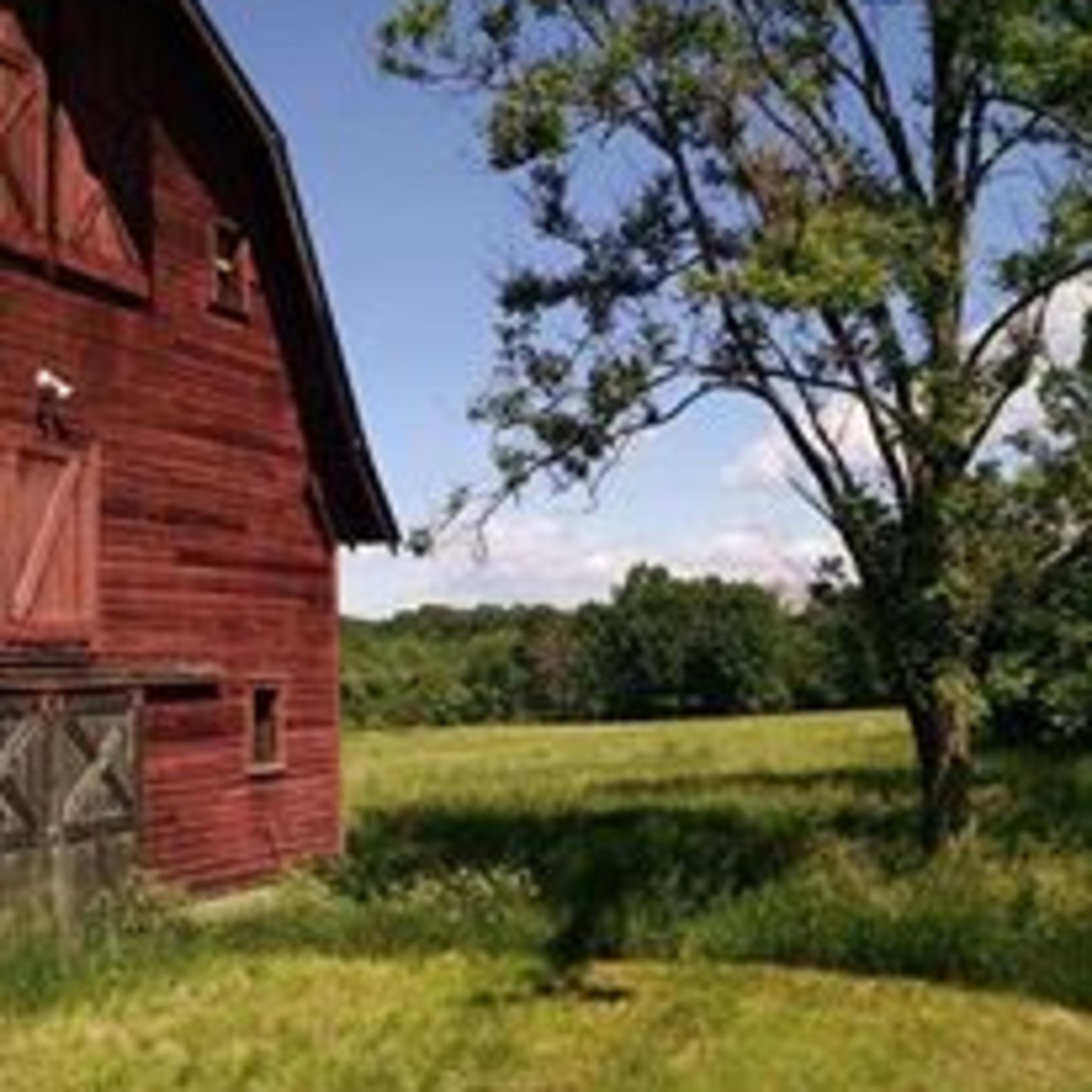 A red barn stands beside a grassy area and a tree, with a clear blue sky in the background.
