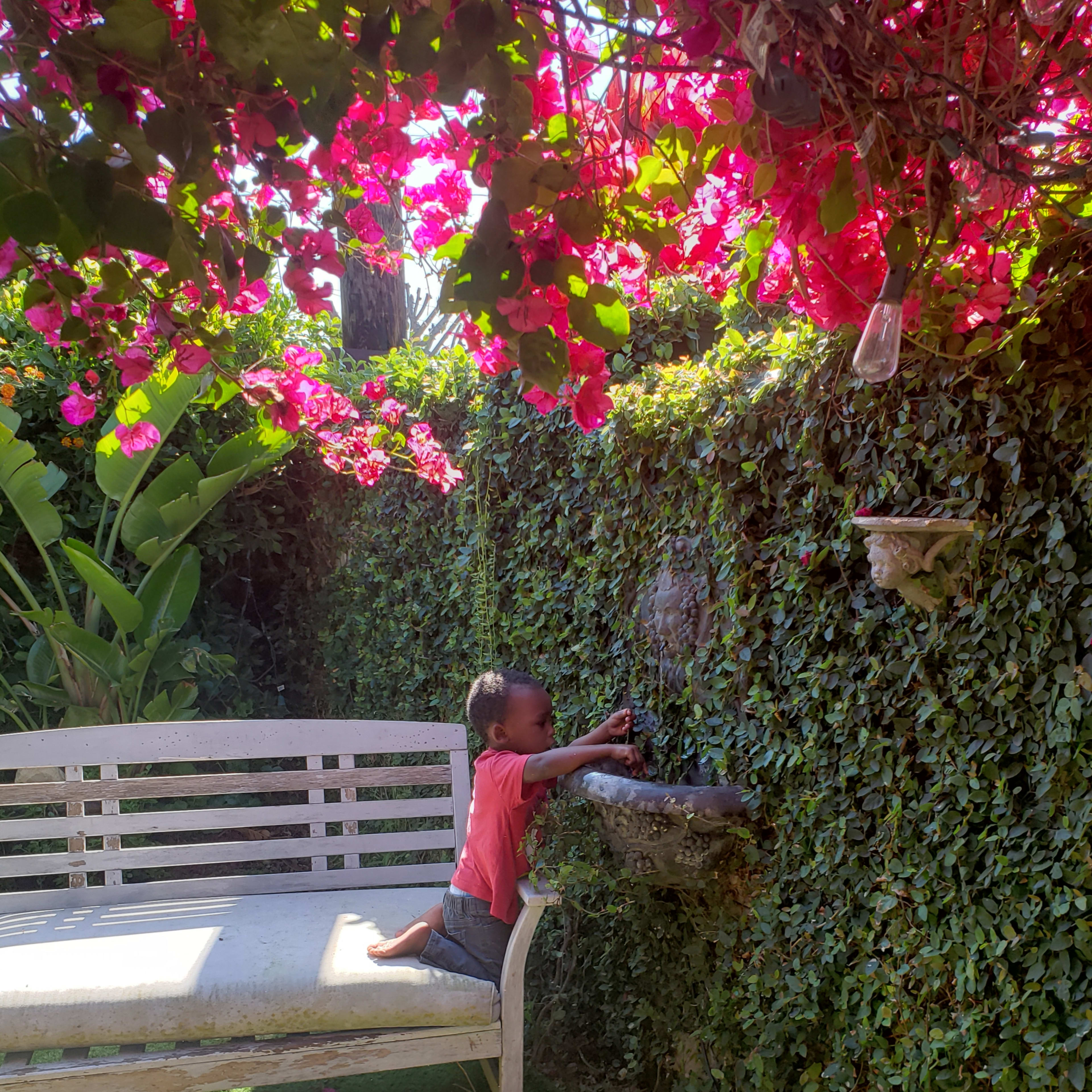A child stands on a bench, reaching toward a water feature surrounded by vibrant pink flowers and lush green foliage.