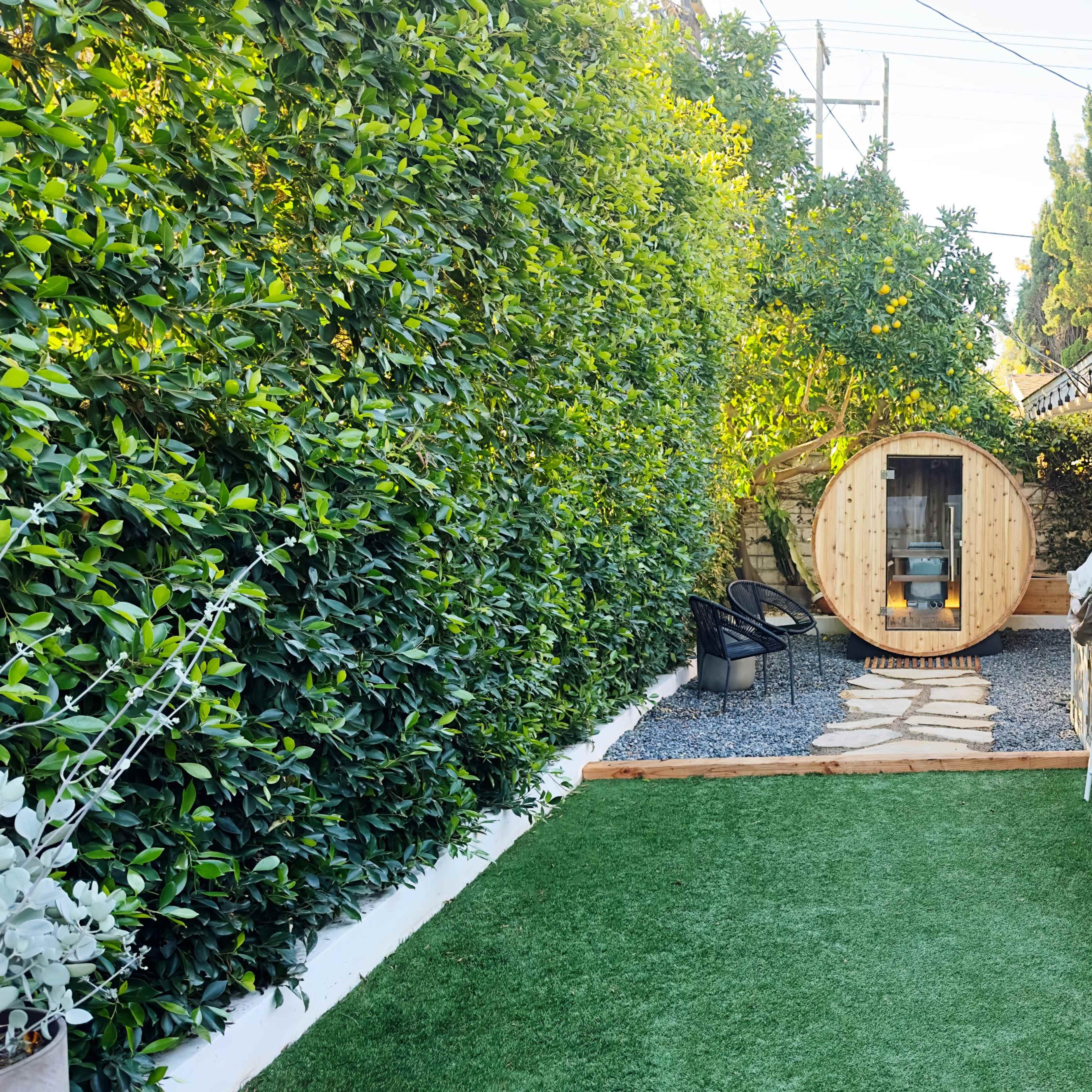 A compact wooden sauna sits surrounded by lush greenery and a stone pathway in a backyard.
