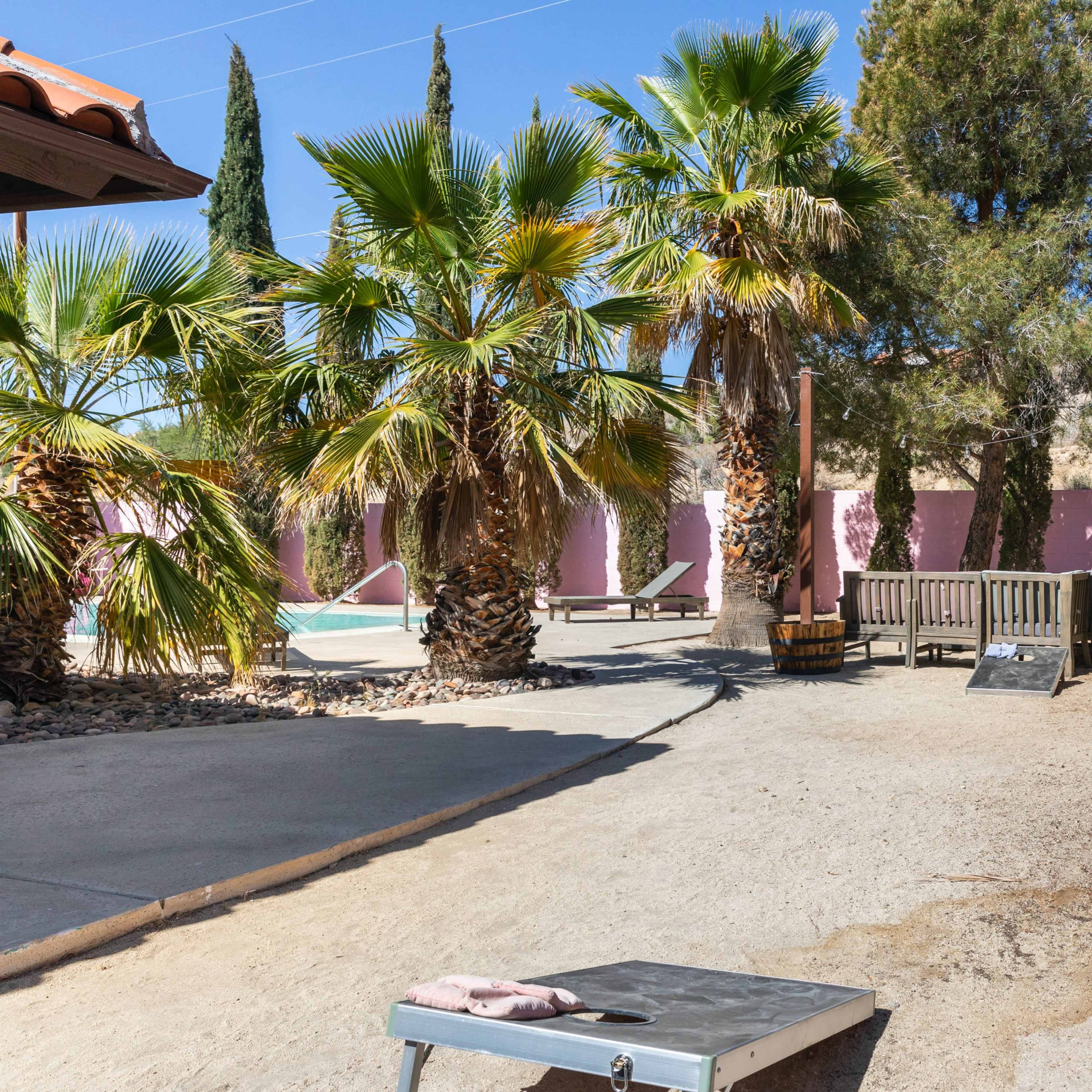 The scene features a sunny outdoor area with palm trees, a gravel path, and a wooden seating area beside a swimming pool.