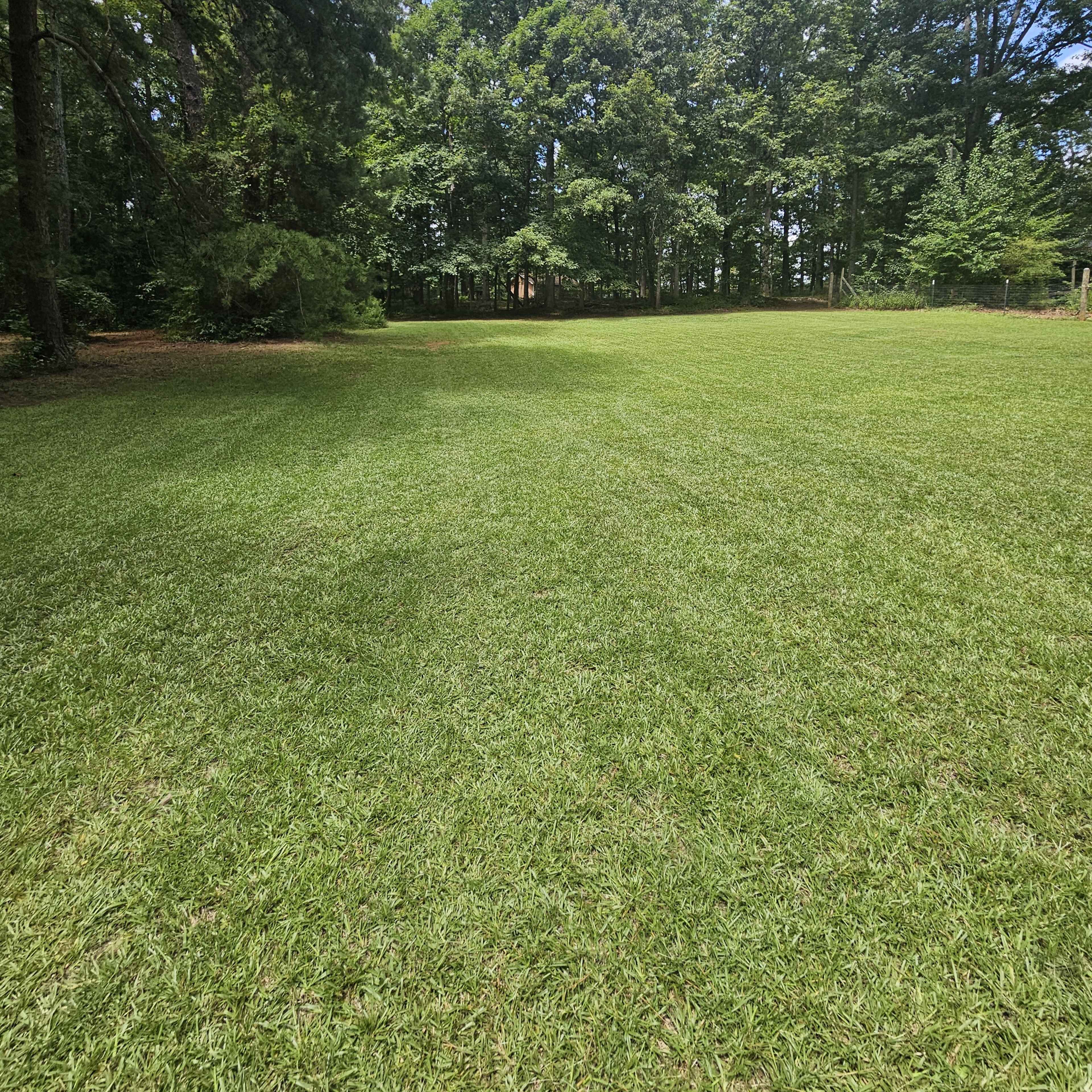 5 Acres - Private and Serene- Weddings, Baby Showers, Birthday Image in , Conyers, GA