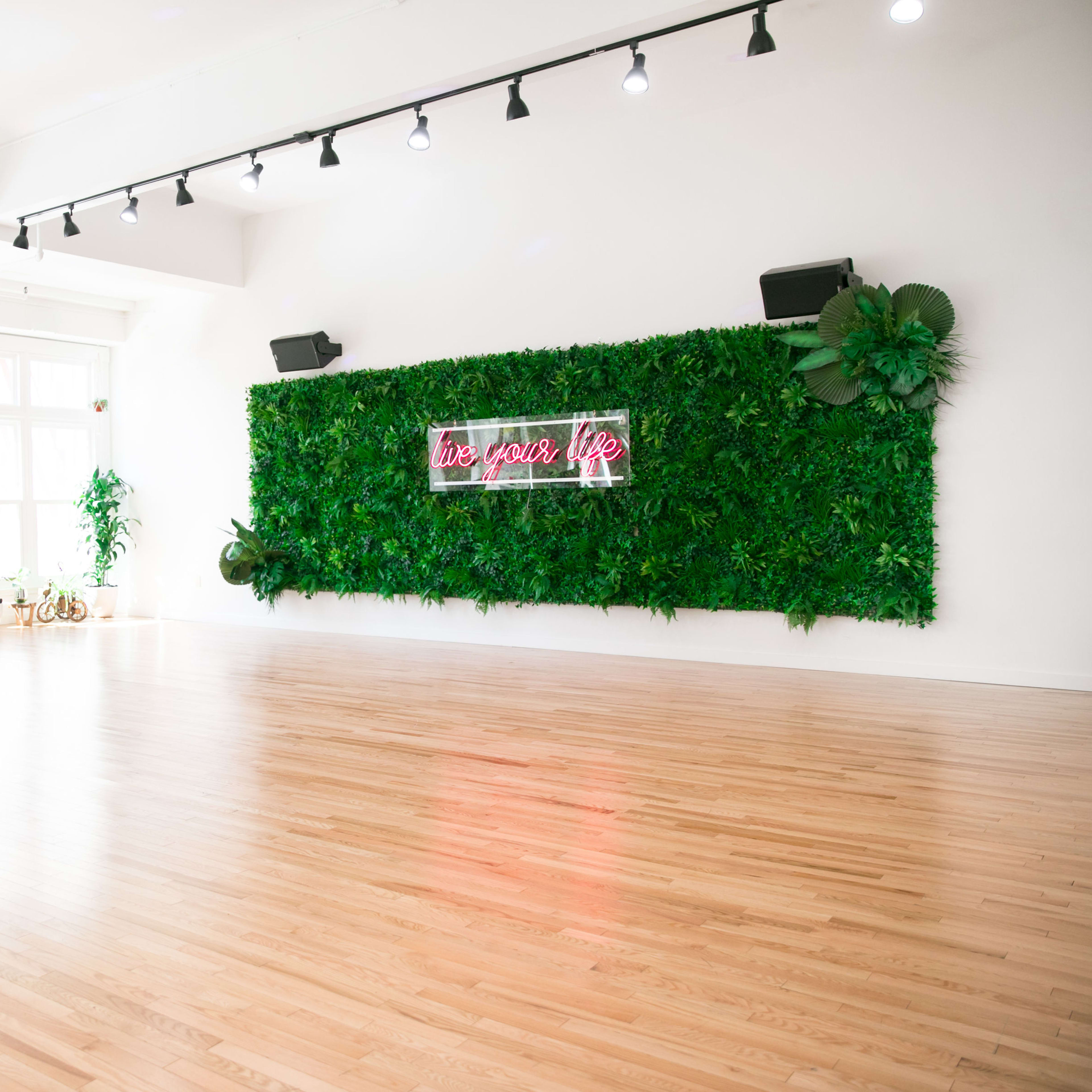 A bright, spacious studio with wooden flooring, a neon sign on a green plant wall, and potted plants around the room.