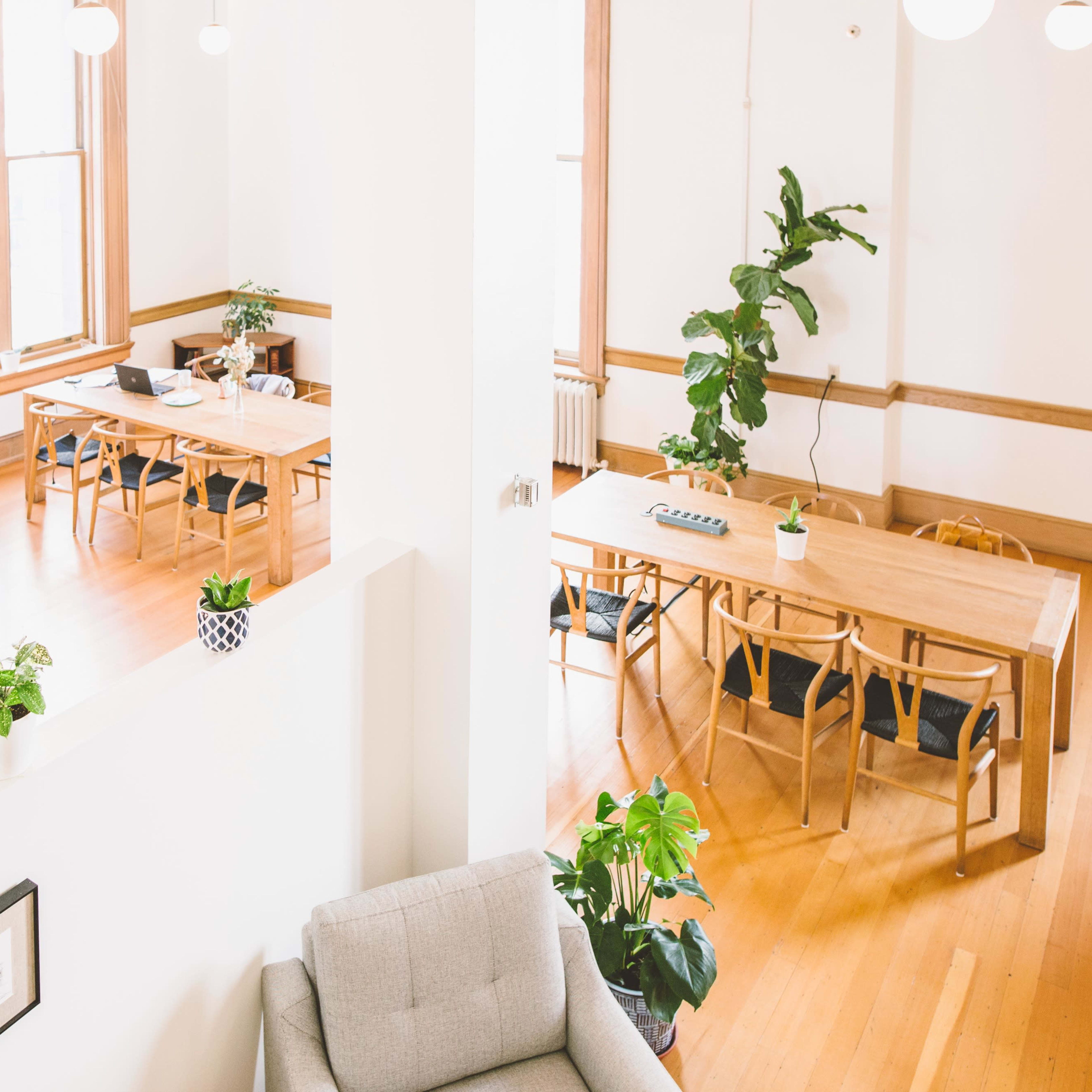 A bright, open office space with a blue sofa and several wooden tables surrounded by plants.